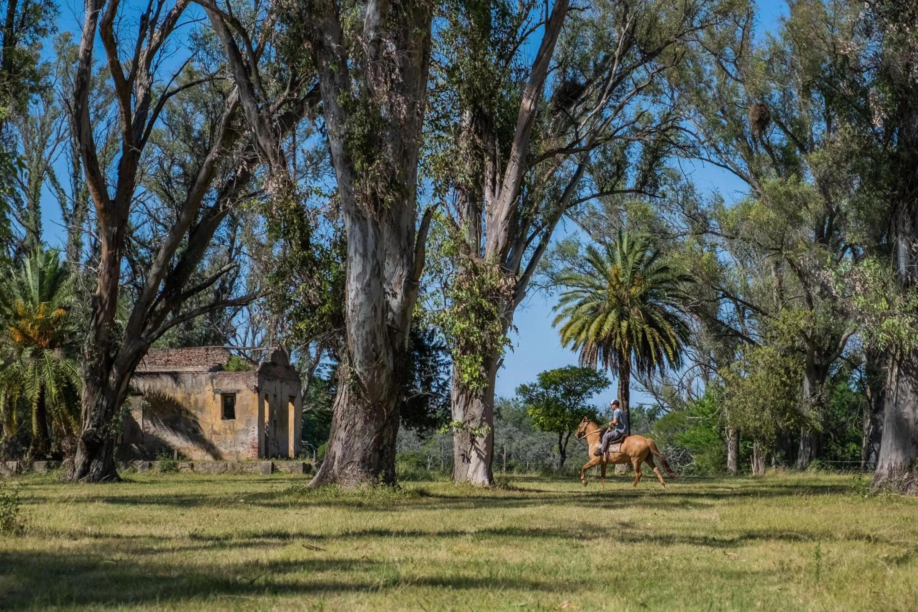 Natural landscape in Palacio Santa Candida