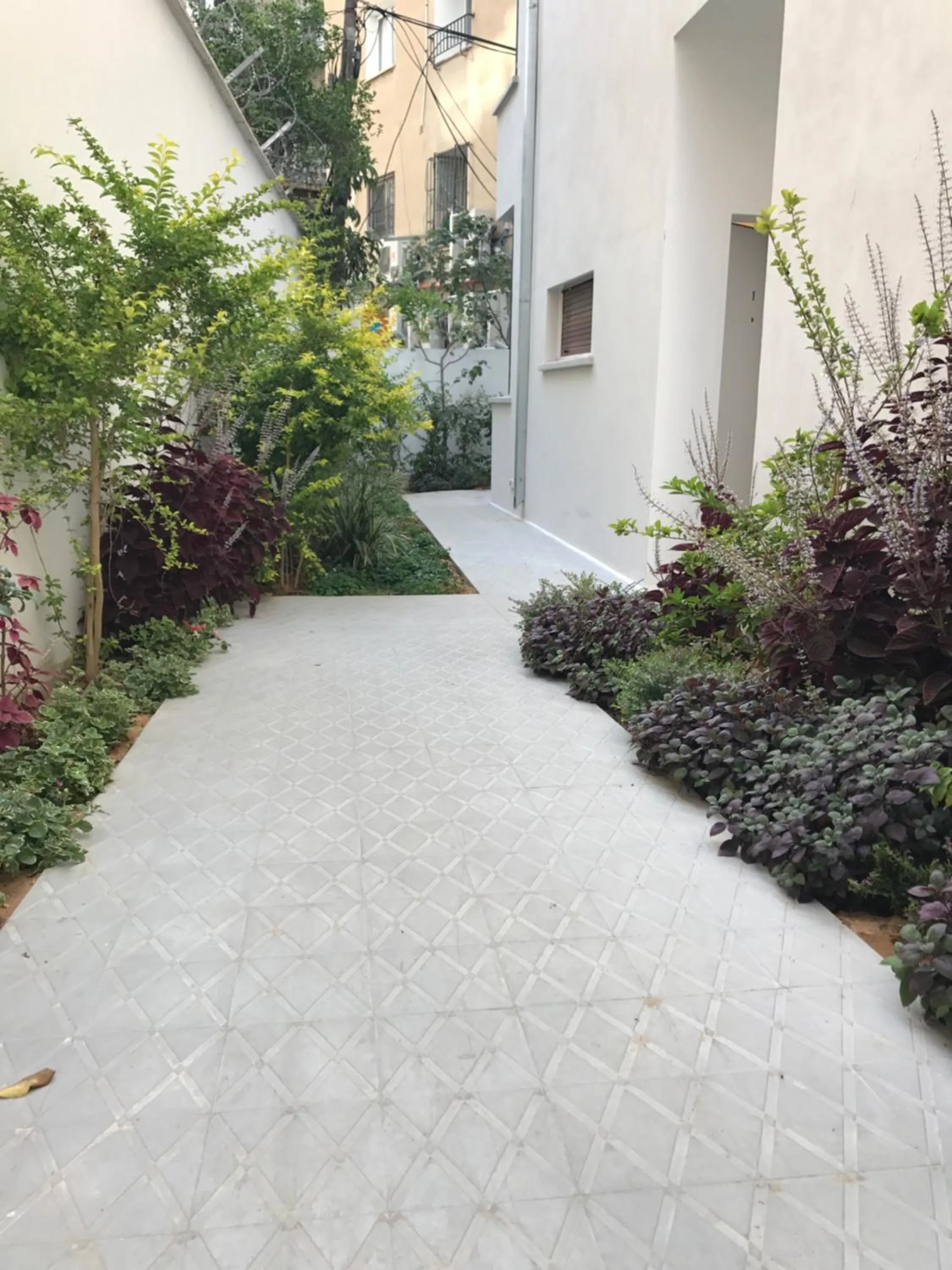 View (from property/room) in Reines5 TLV