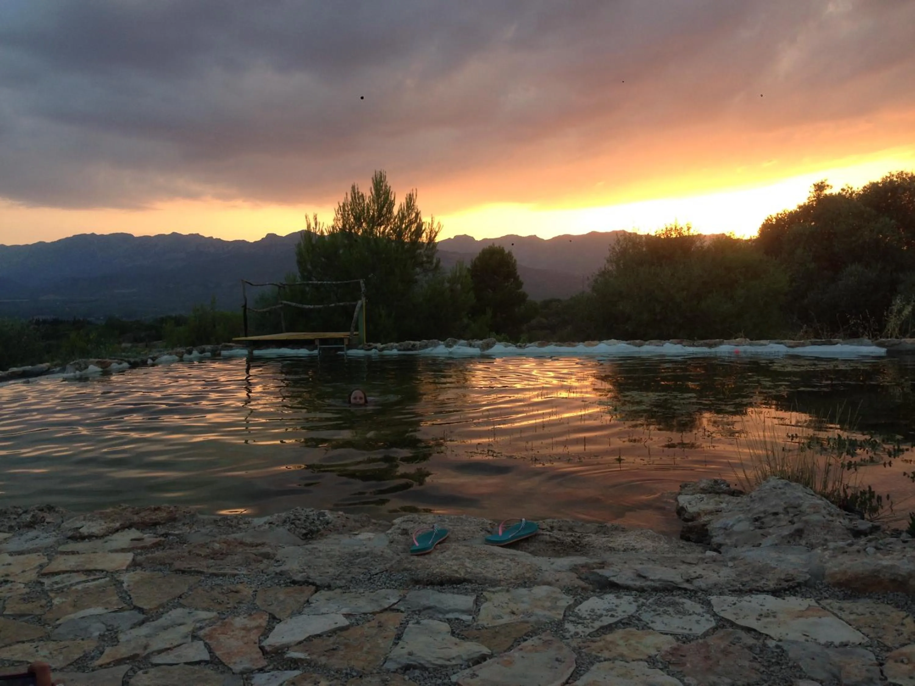 Swimming pool in Finca Florecer