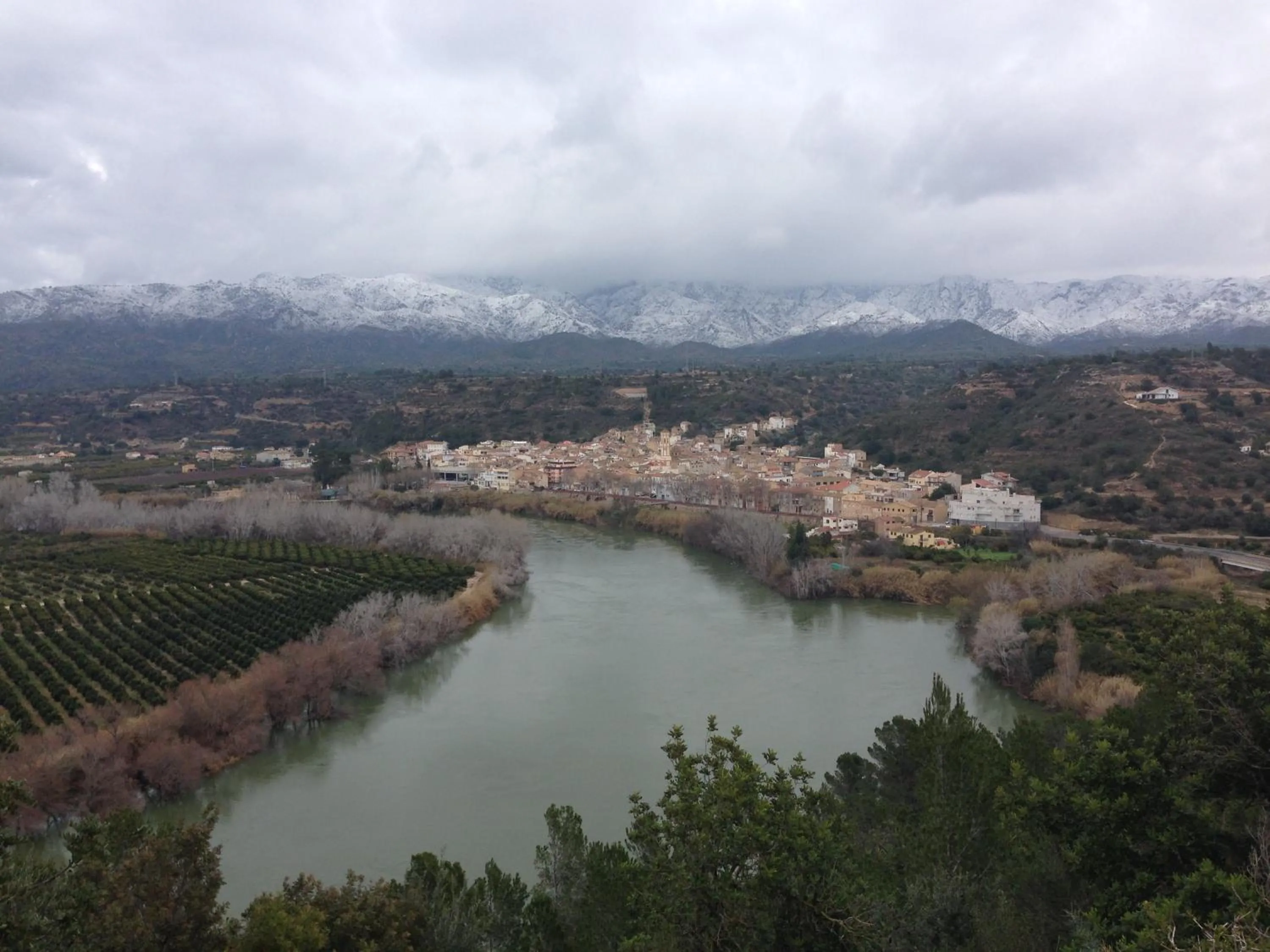 Restaurant/places to eat in Finca Florecer