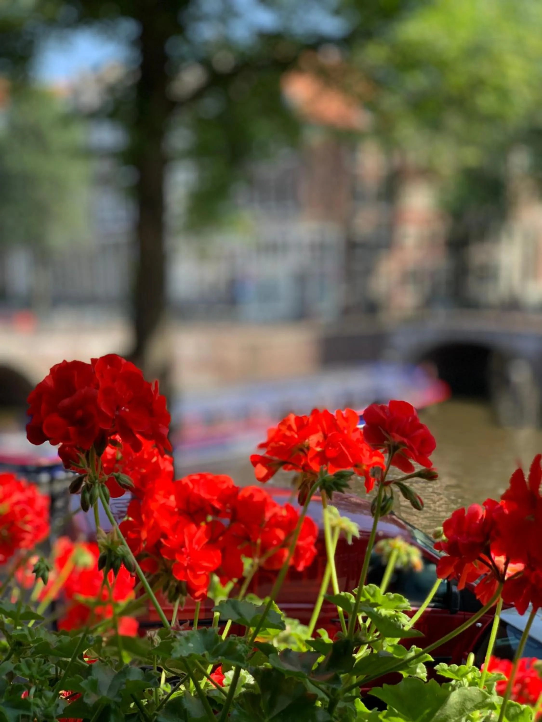 City view in Keizershouse Amsterdam