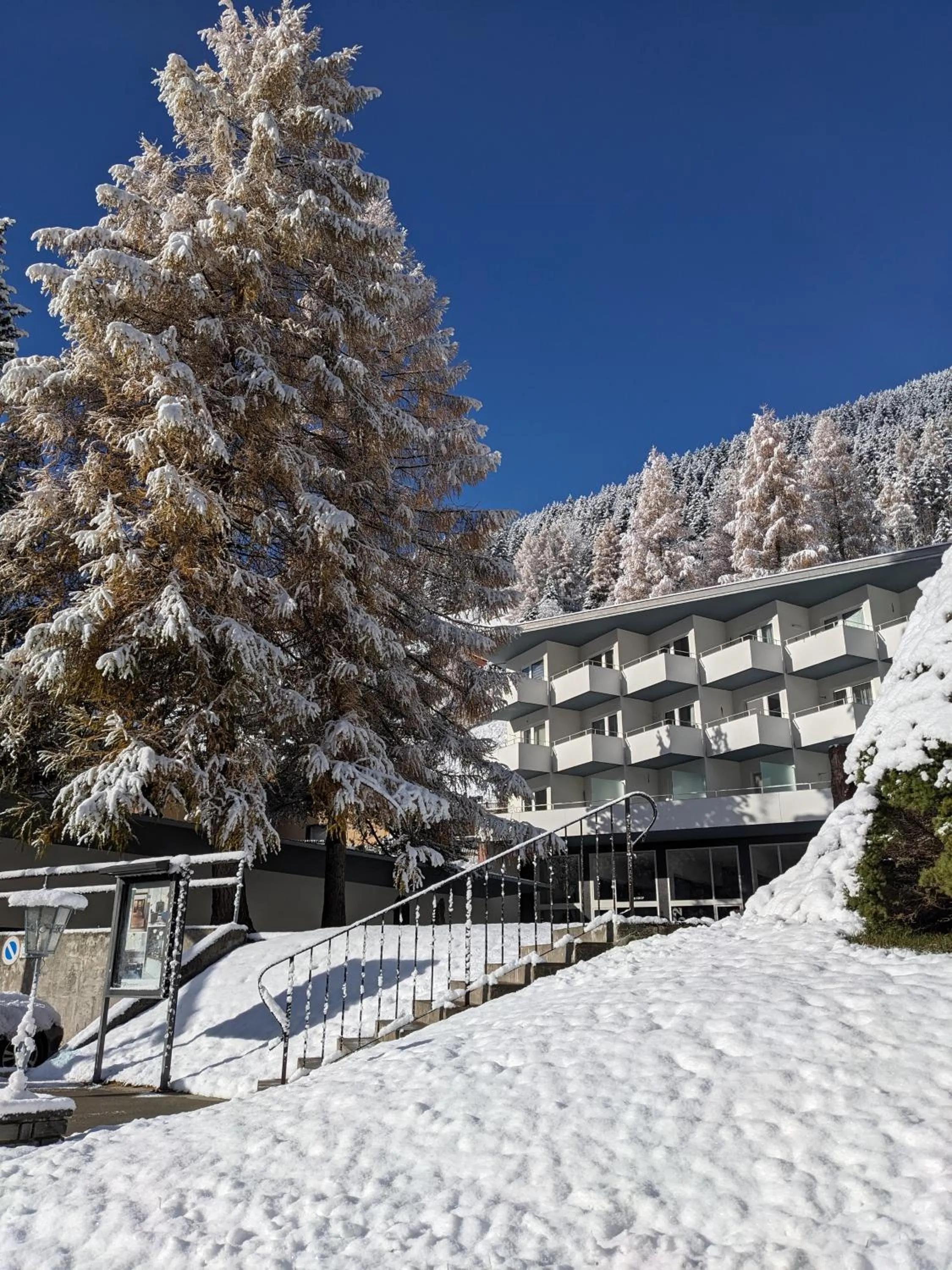 Haus Zervreila