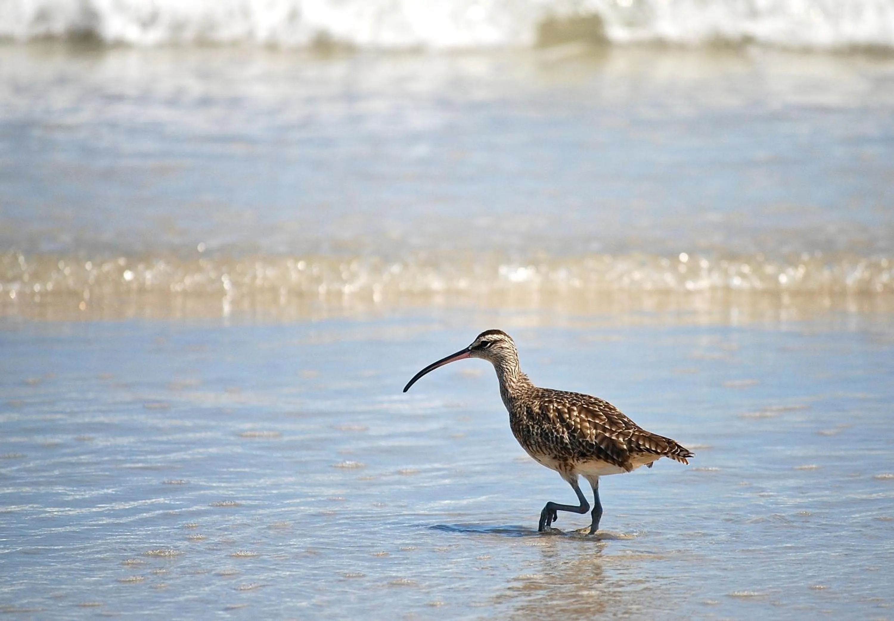 Day in Hotel Isamar Galapagos Beachfront
