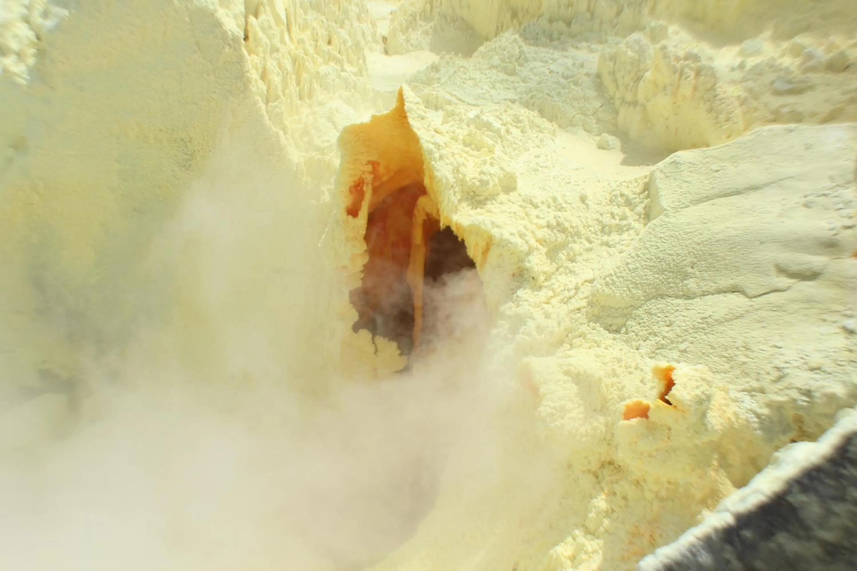 Day in Hotel Isamar Galapagos Beachfront