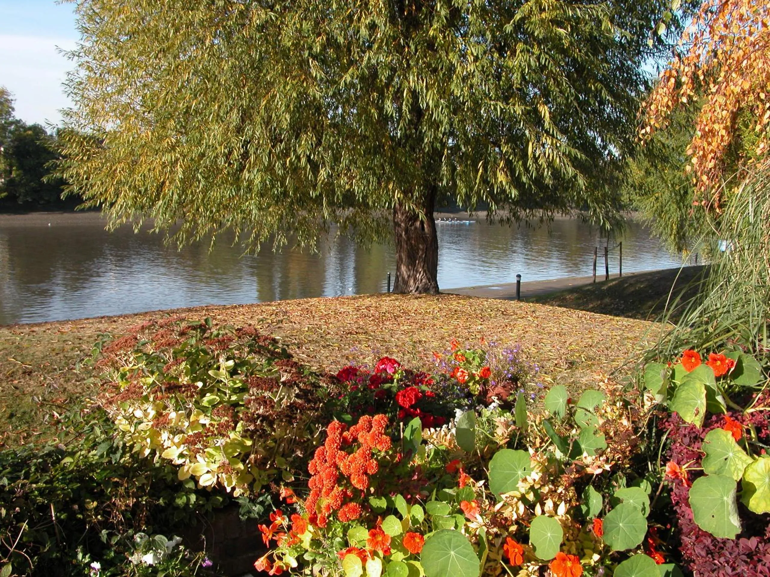 Chiswick Riviera with free parking
