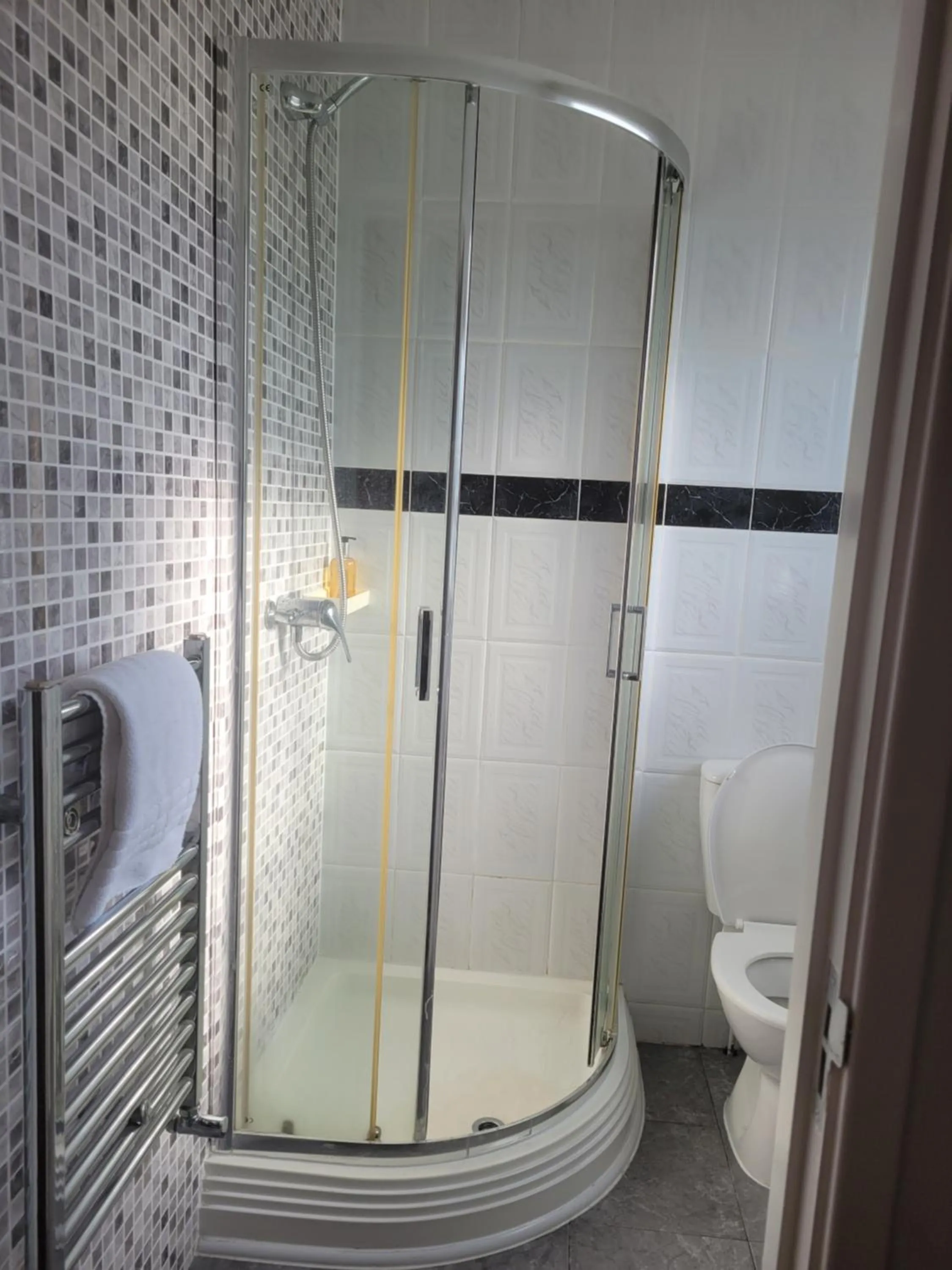 Shower in The Gatwick White House Hotel