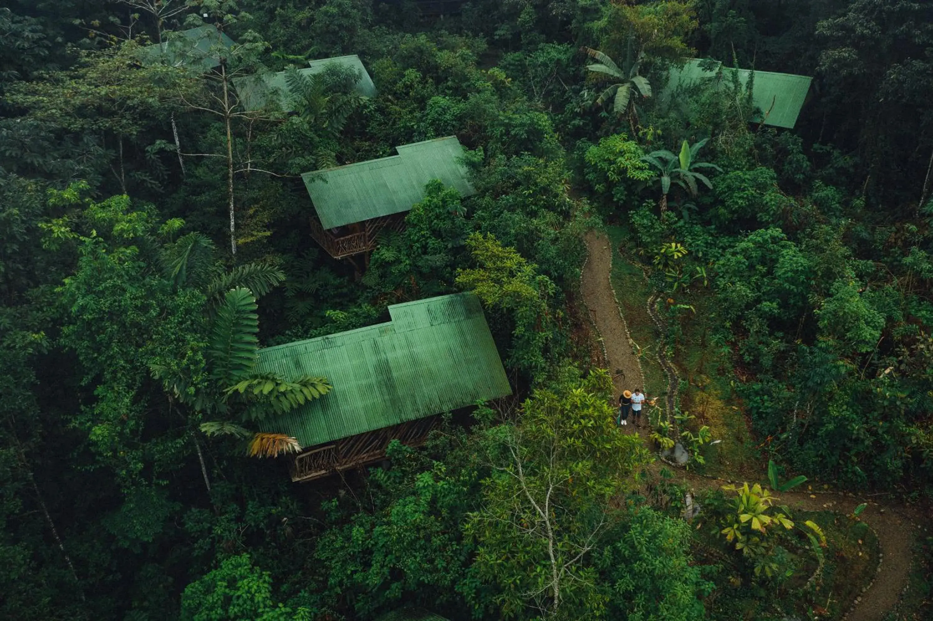 Tent + Tour in La Tigra Rainforest Lodge Tent + Tour in La Tigra Rainforest Lodge