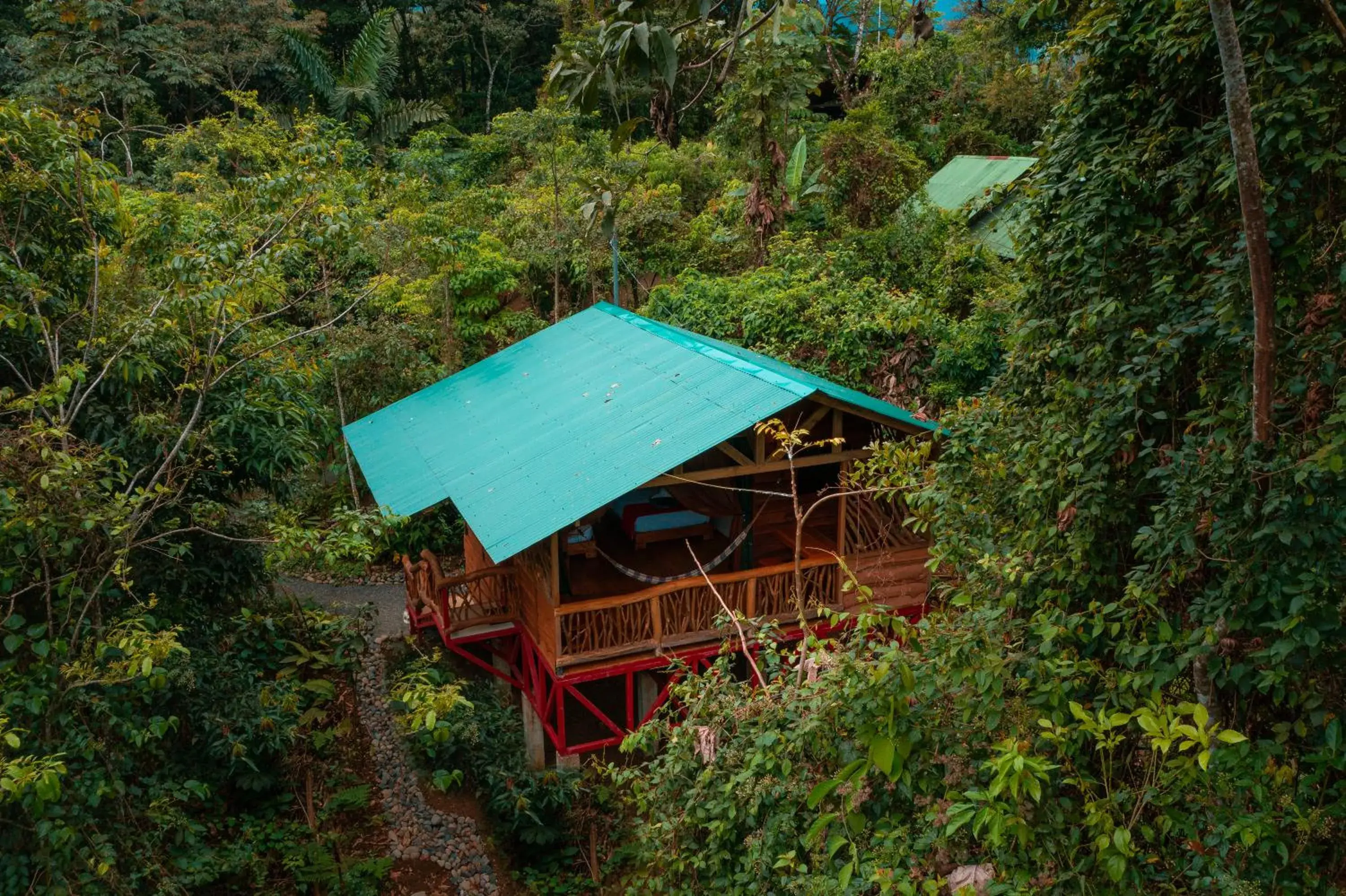 Superior Tent in La Tigra Rainforest Lodge Superior Tent in La Tigra Rainforest Lodge