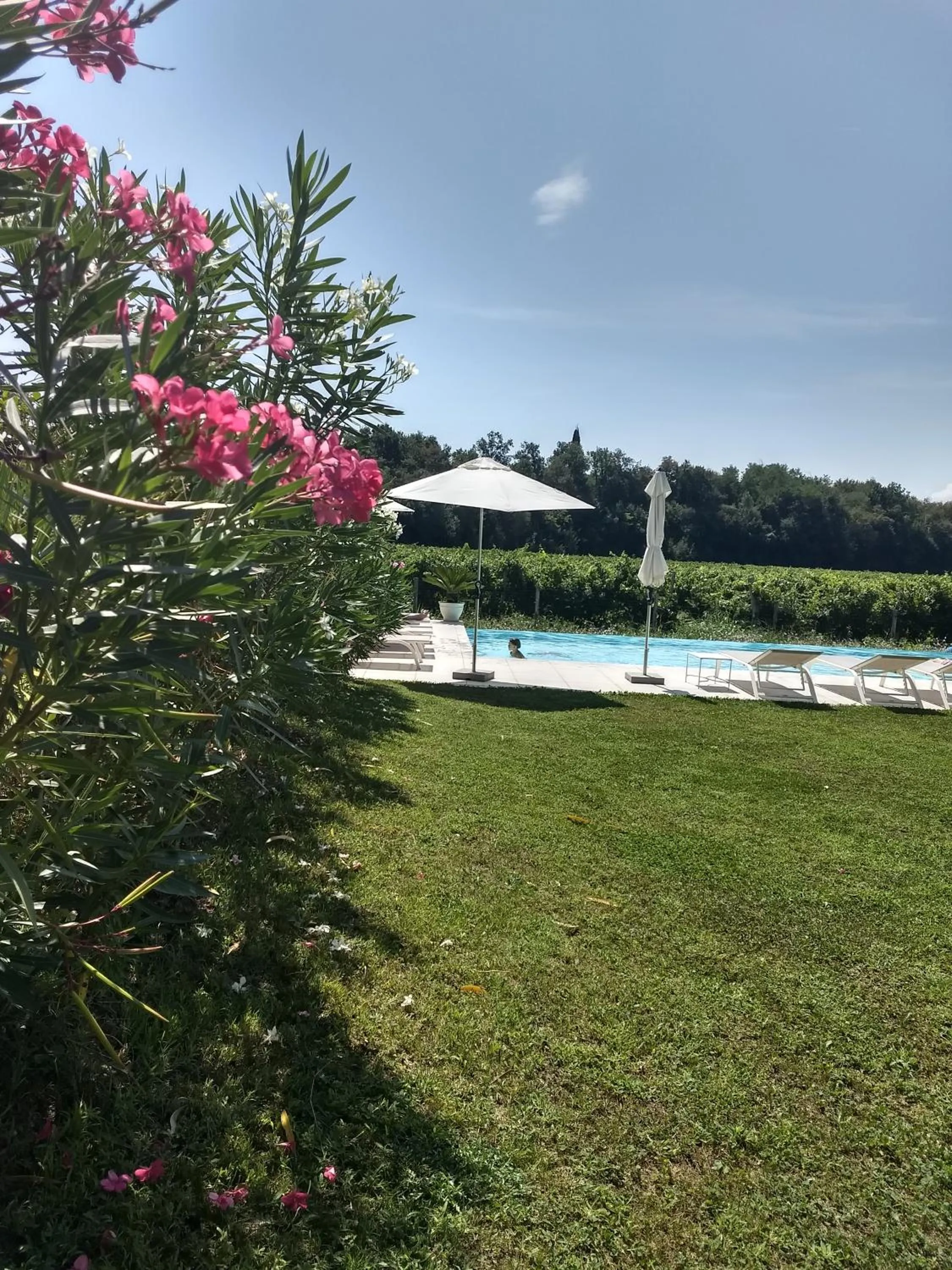 Garden in Residenza Pastrengo