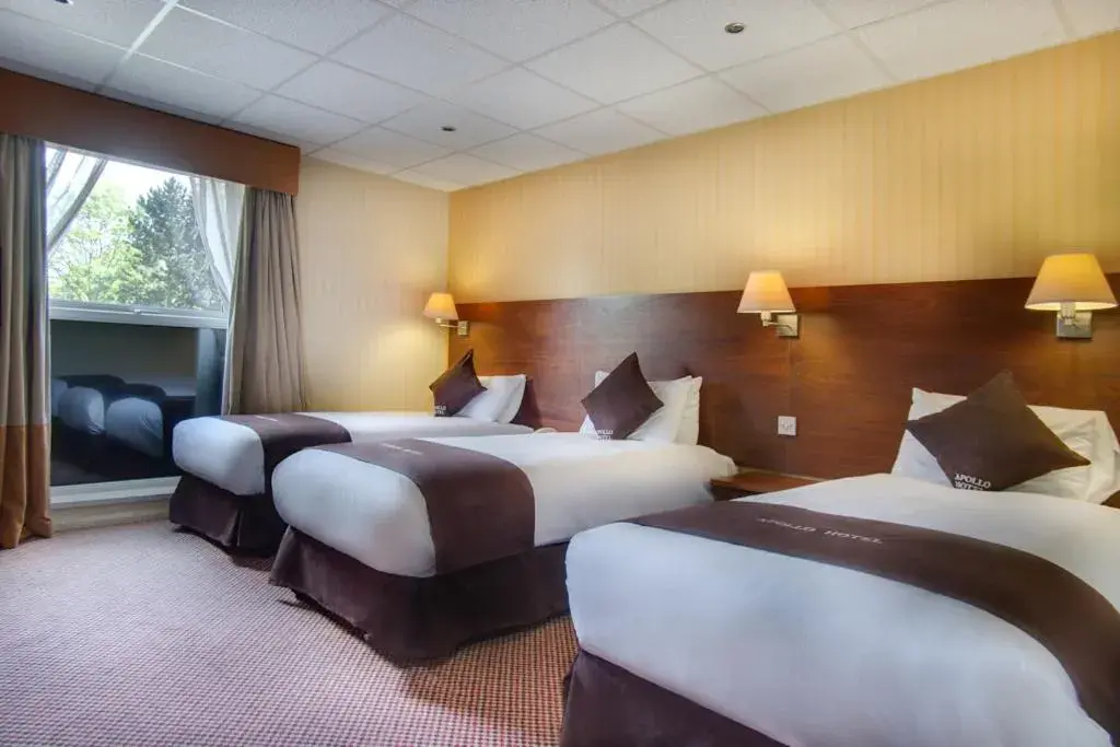 Bedroom, Bed in Apollo Hotel Bedroom, Bed in Apollo Hotel