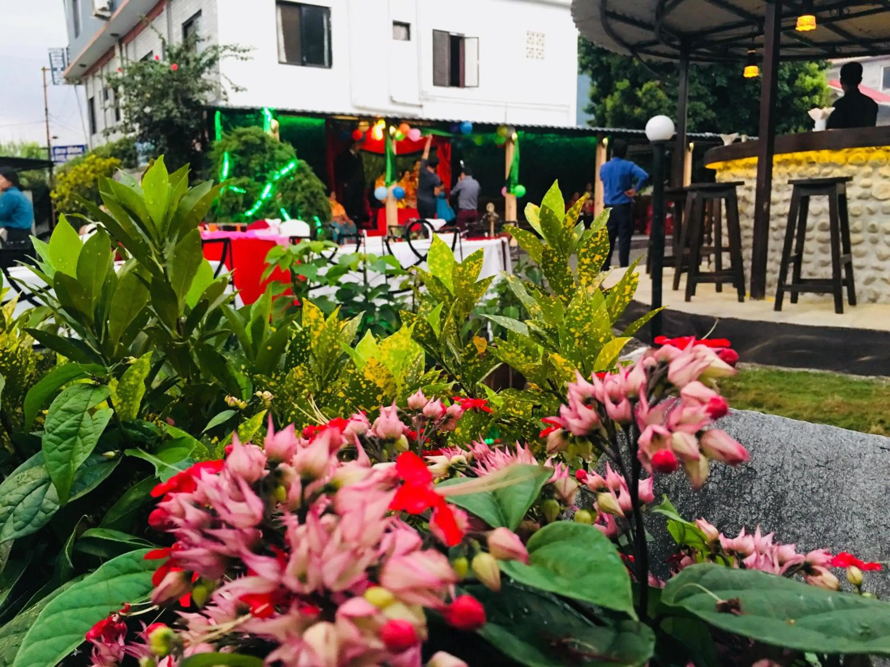 Restaurant/places to eat in Tuki Resort Pokhara