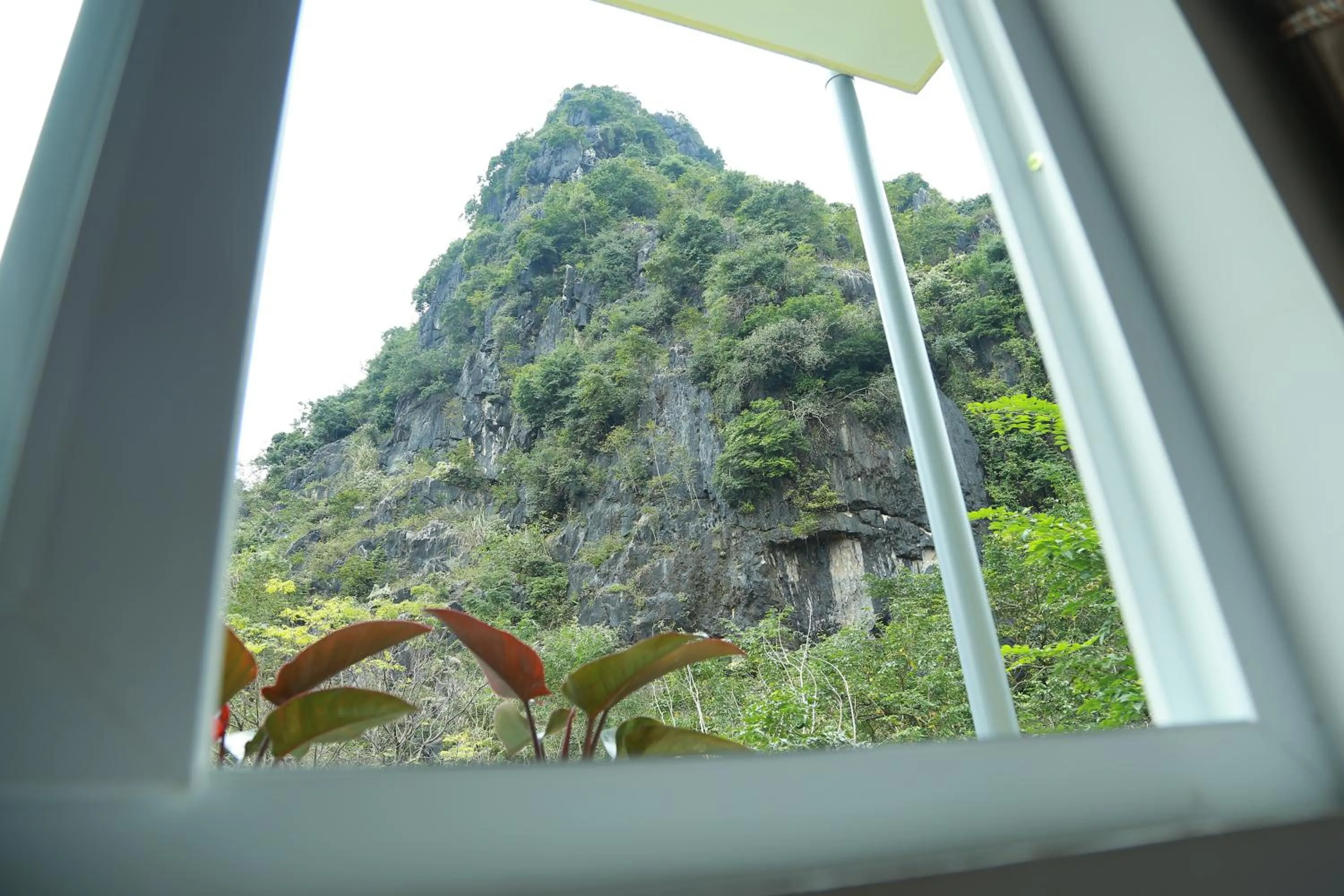 Garden view in Gold Plus Hotel