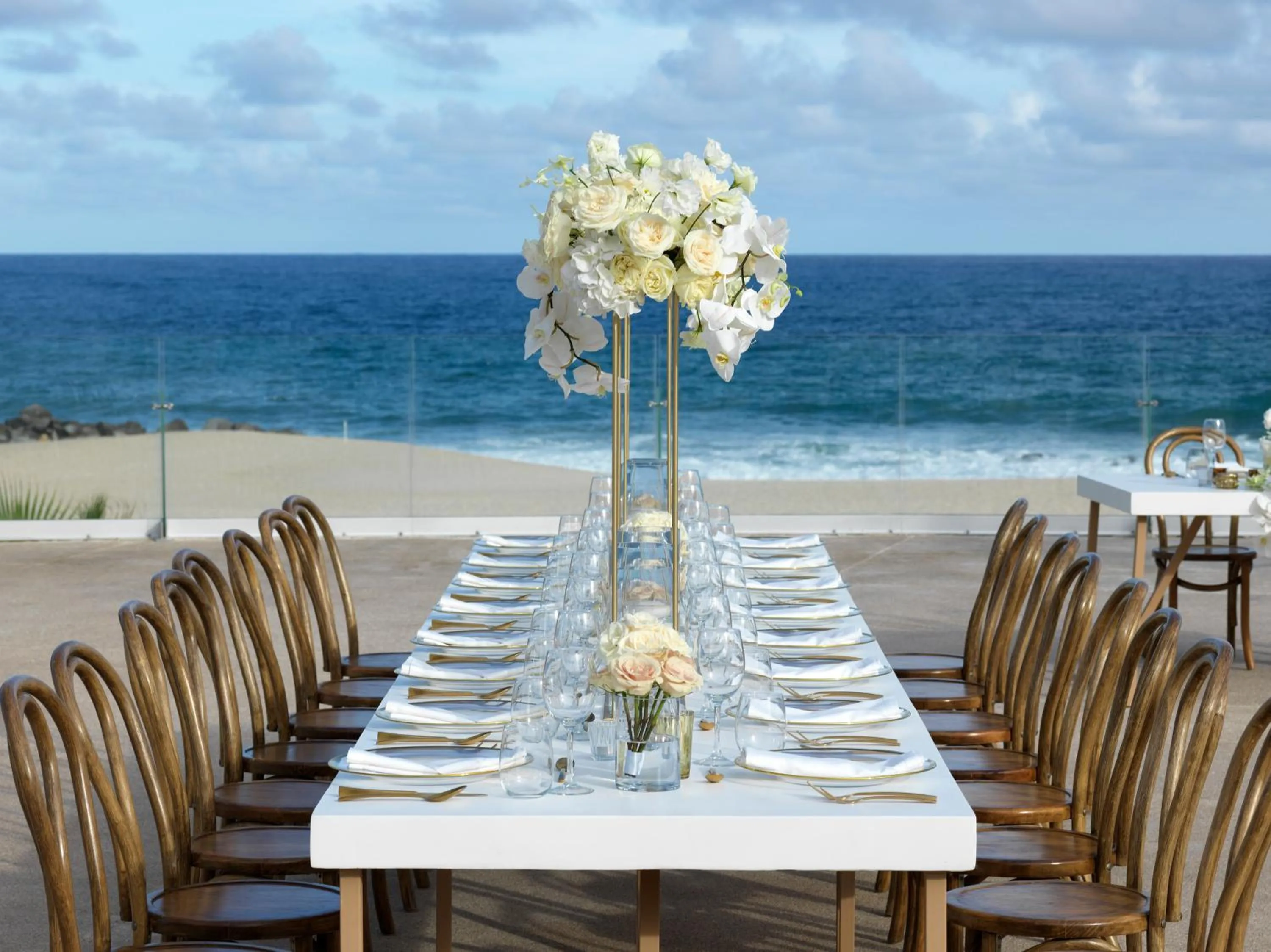 wedding in Paradisus Los Cabos - Adults Only - All Inclusive