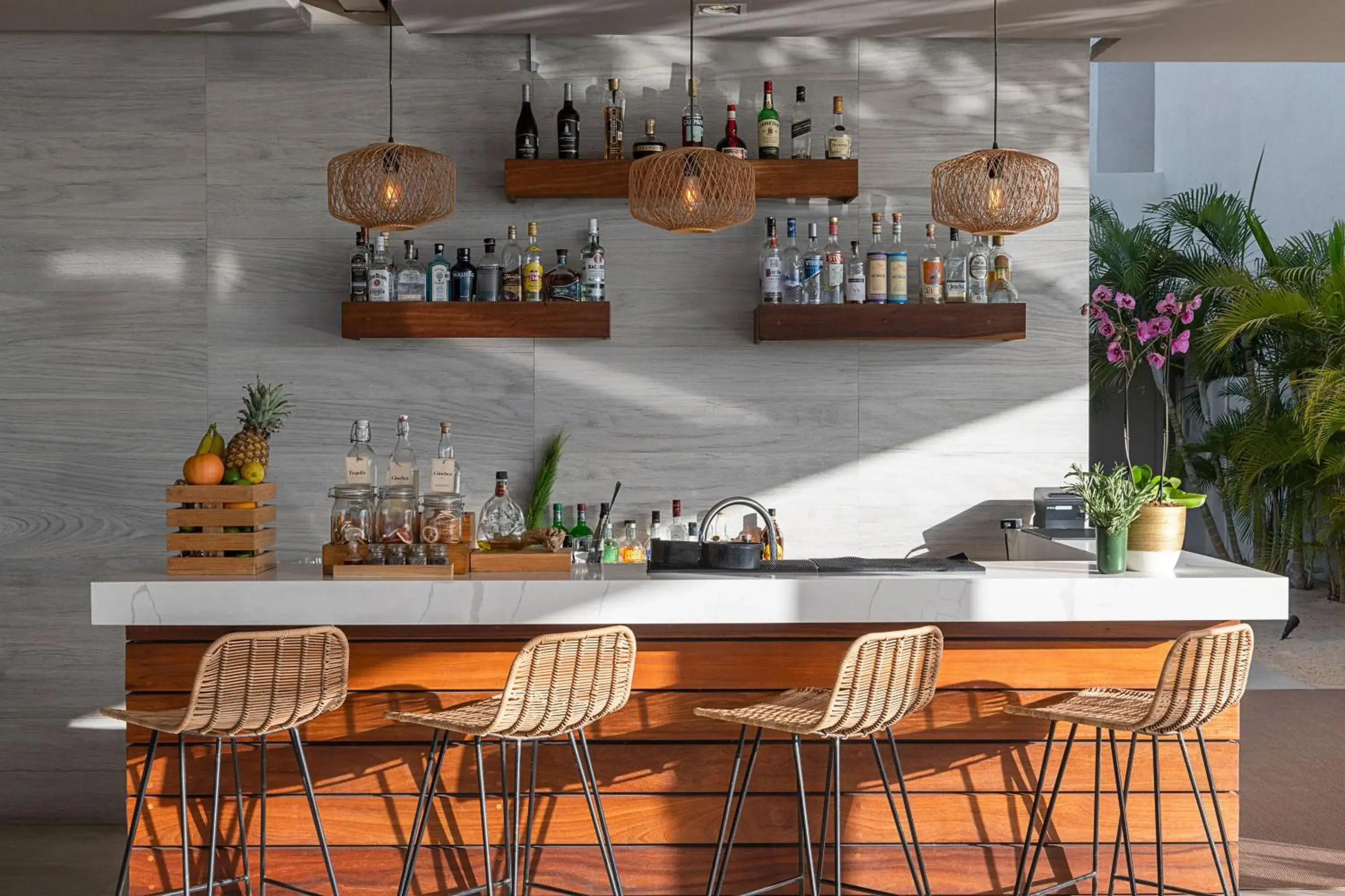 Lounge or bar in Paradisus Los Cabos - Adults Only Lounge or bar in Paradisus Los Cabos - Adults Only