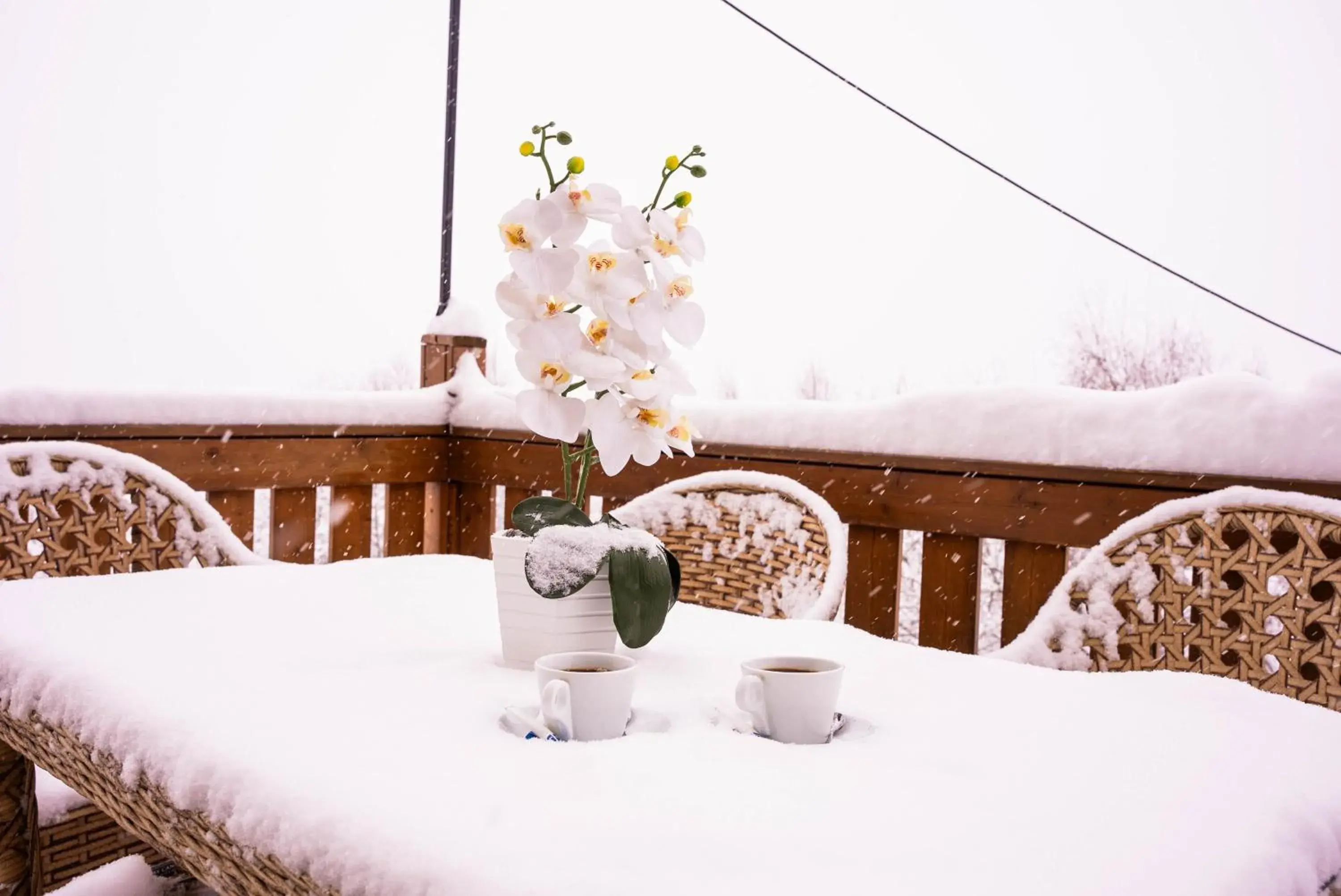 Restaurant/places to eat in Gudauri Inn Restaurant/places to eat in Gudauri Inn