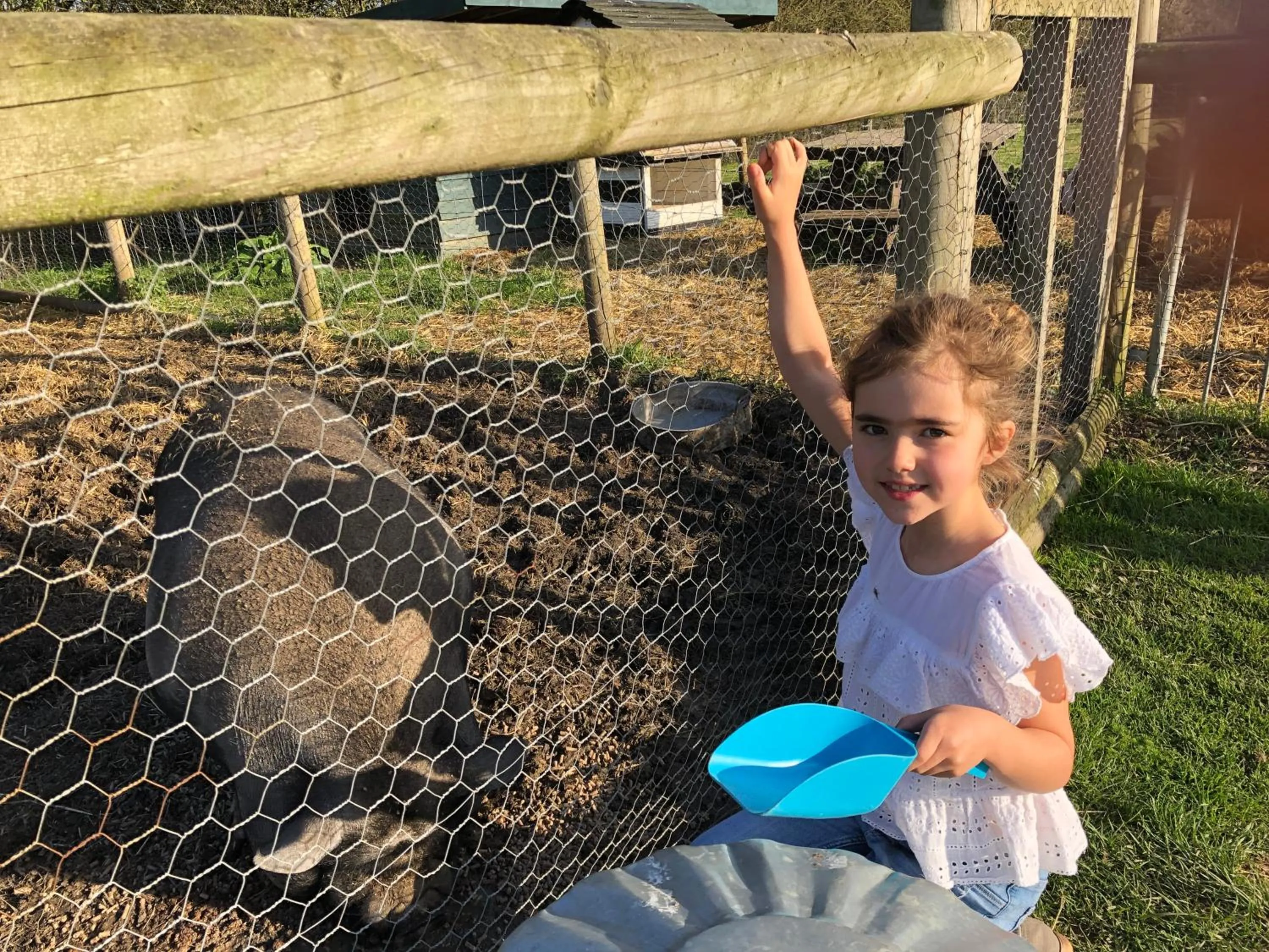 Animals in Willow Court Farm Studio South & Petting Farm, 8 mins from Legoland & Windsor, 15 mins from Lapland UK