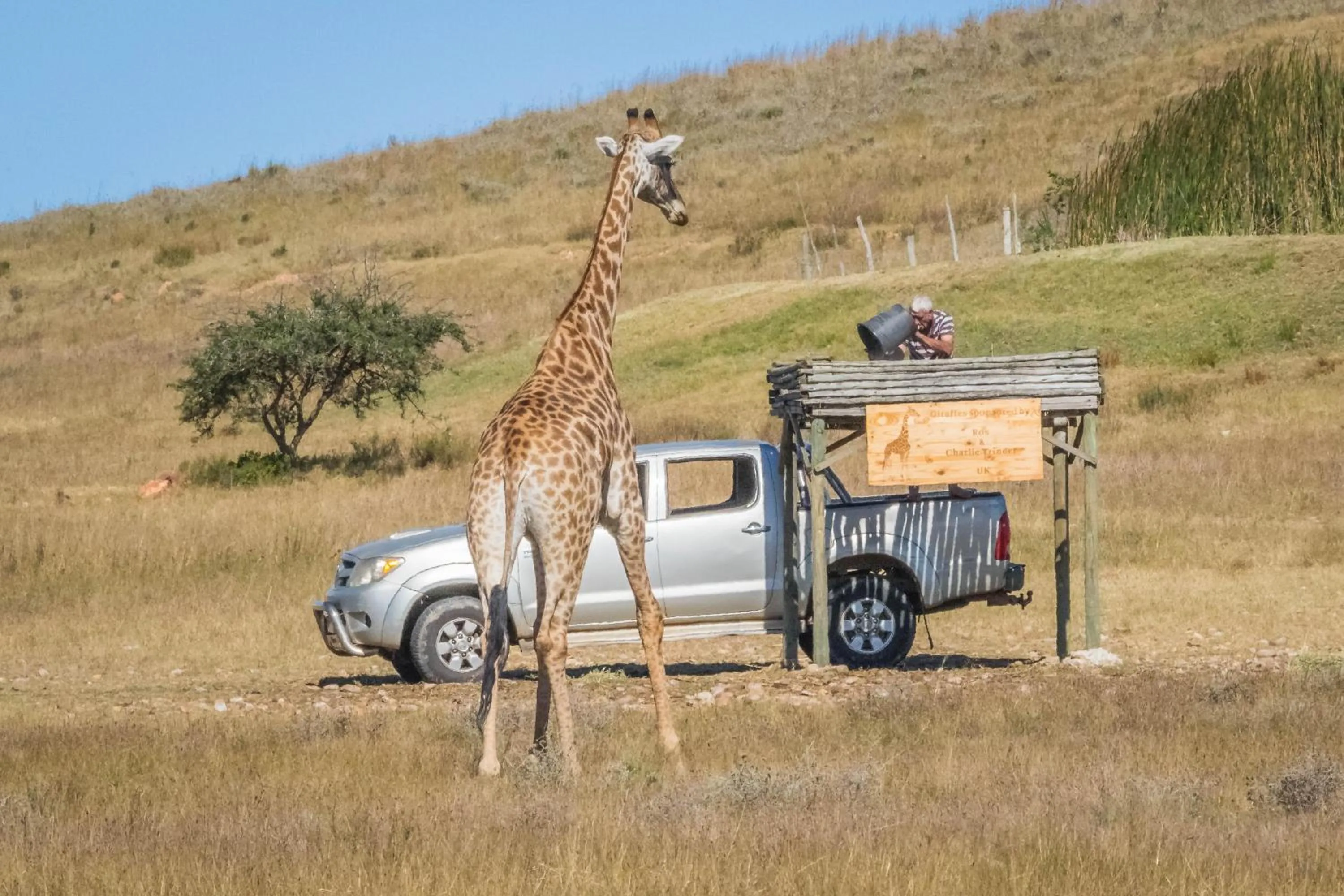 Animals in Kwetu Guest Farm