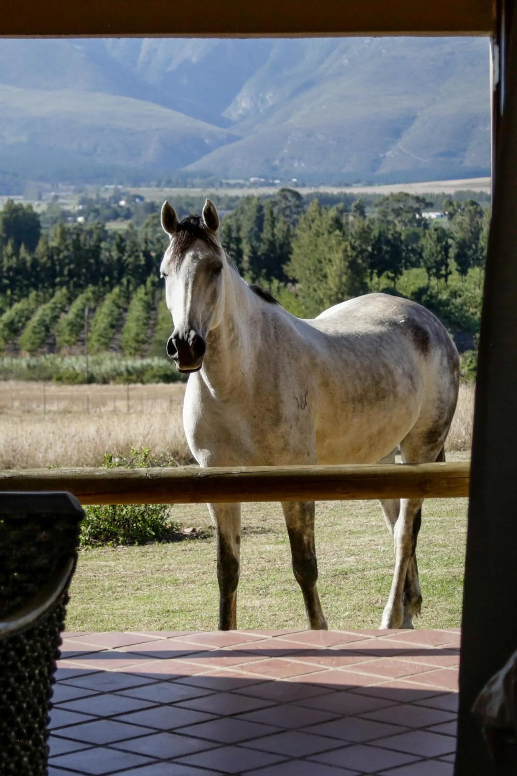 Winter in Kwetu Guest Farm