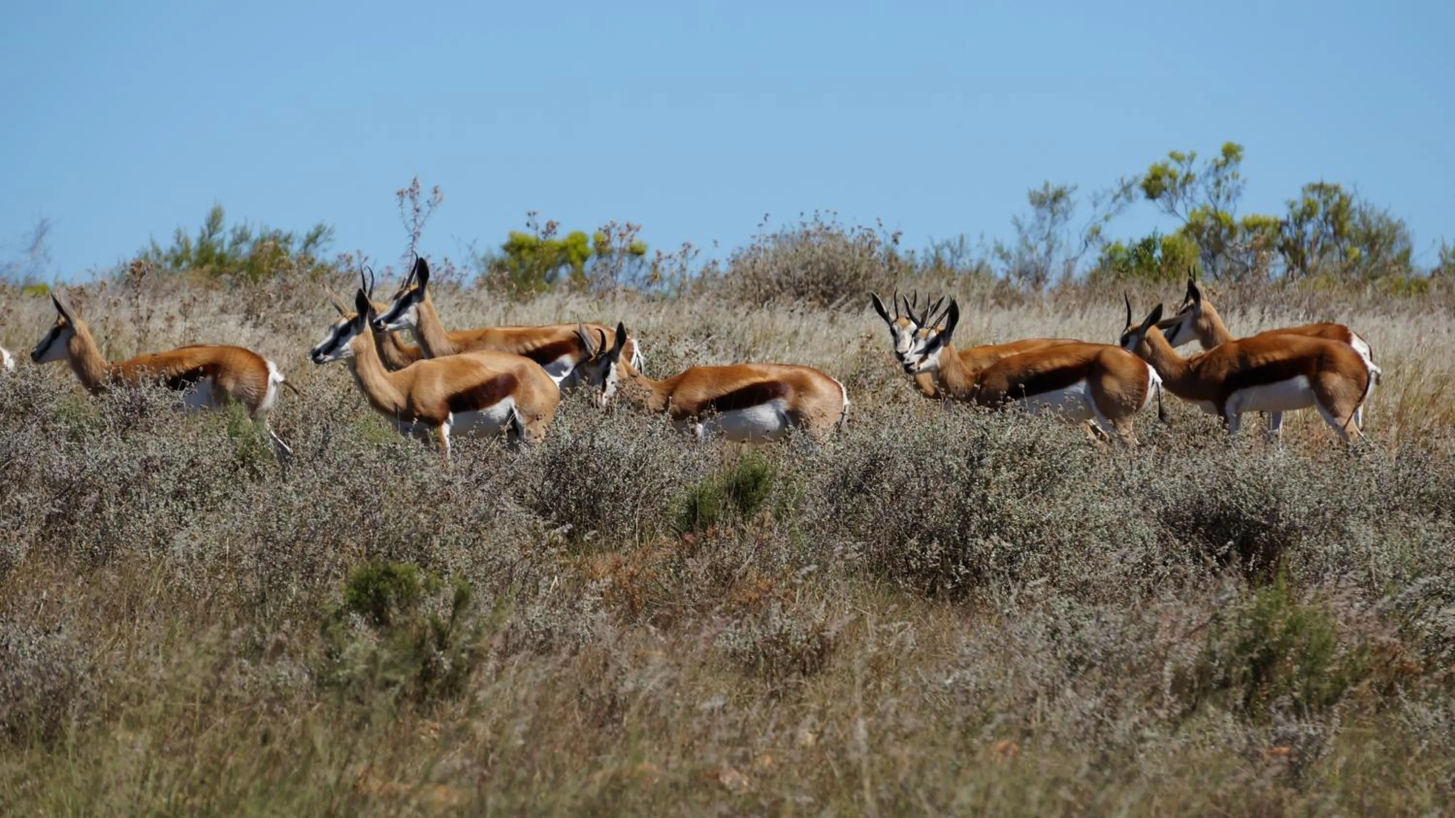 Summer in Kwetu Guest Farm