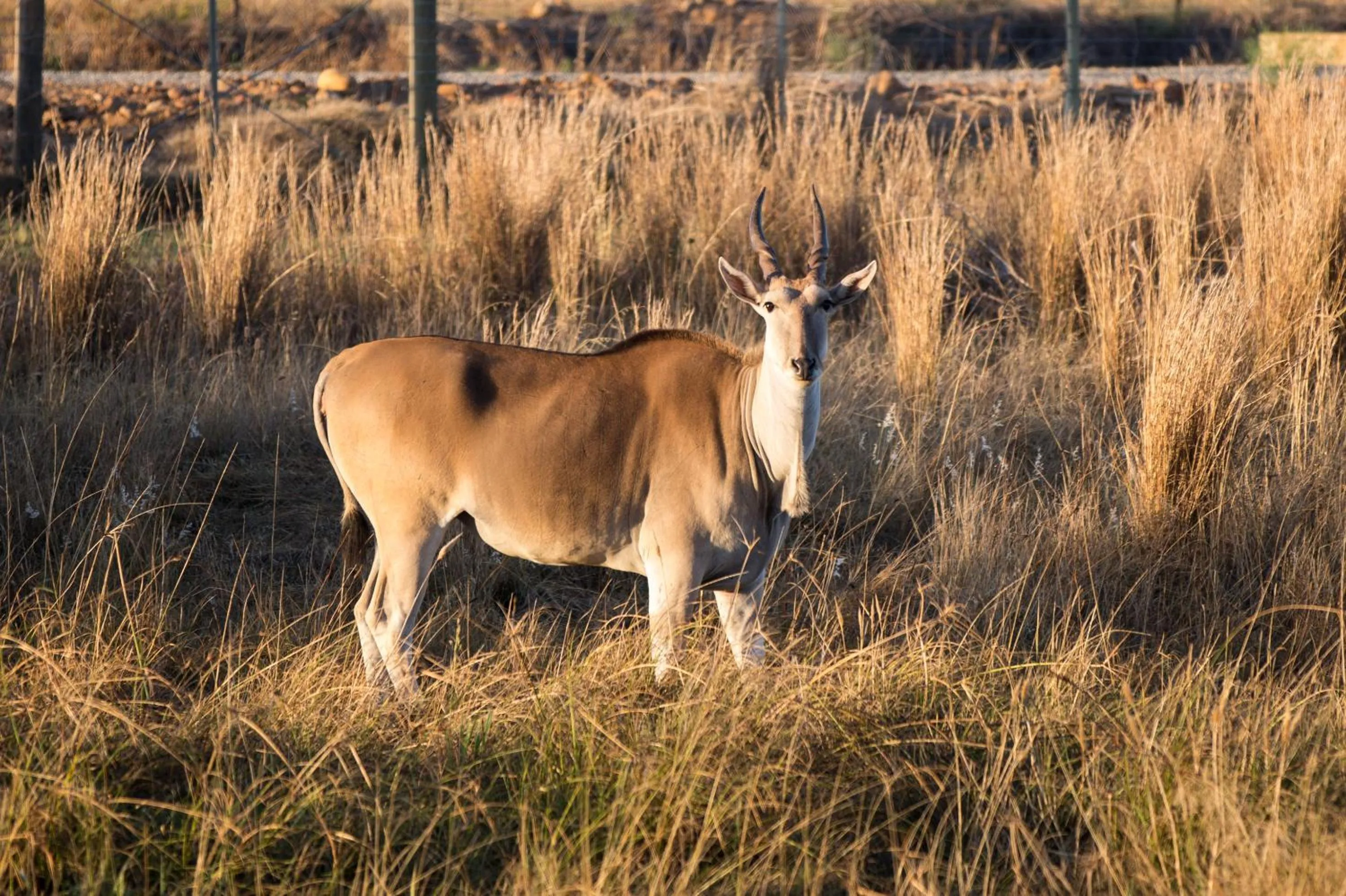 Spring in Kwetu Guest Farm