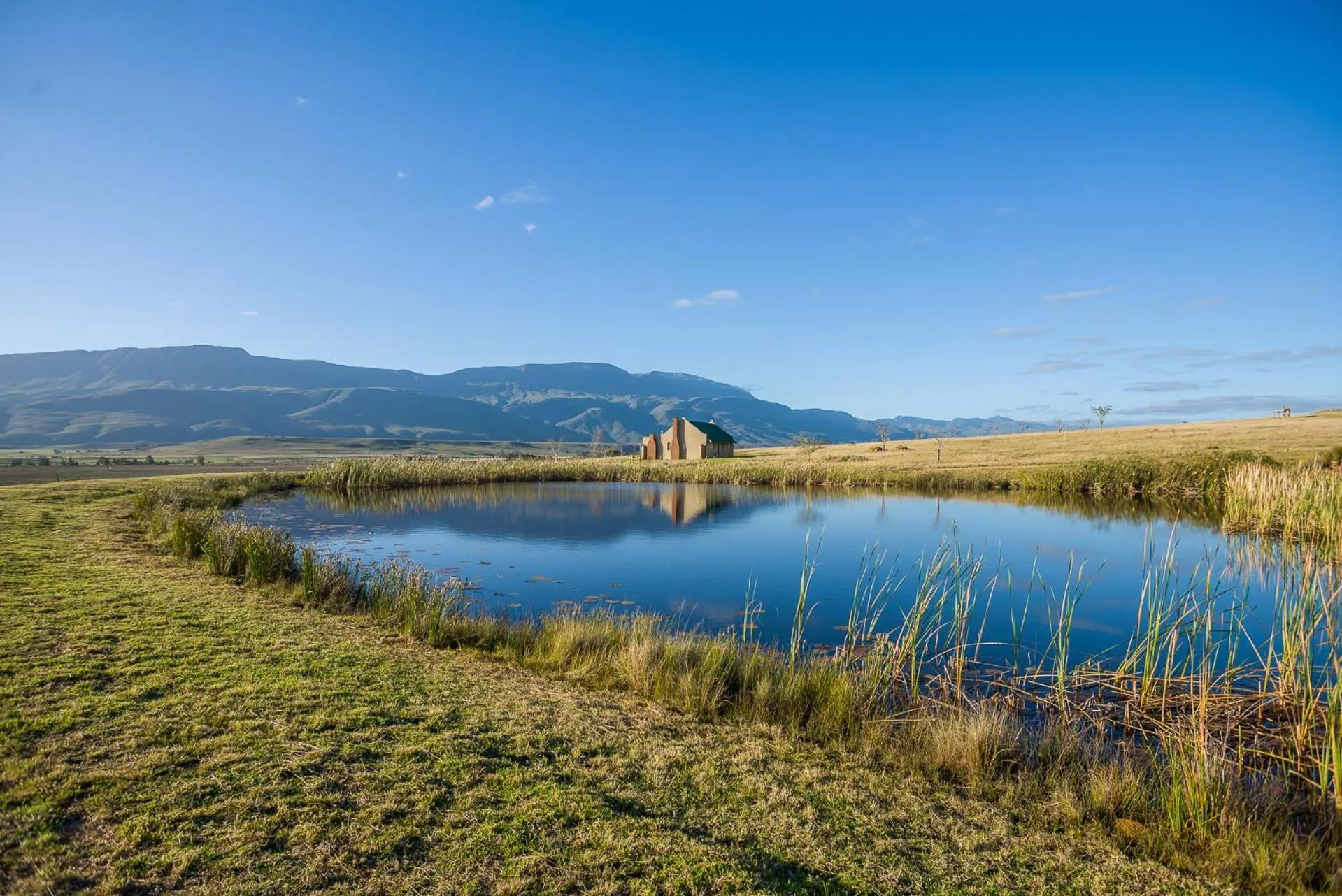 Natural landscape in Kwetu Guest Farm