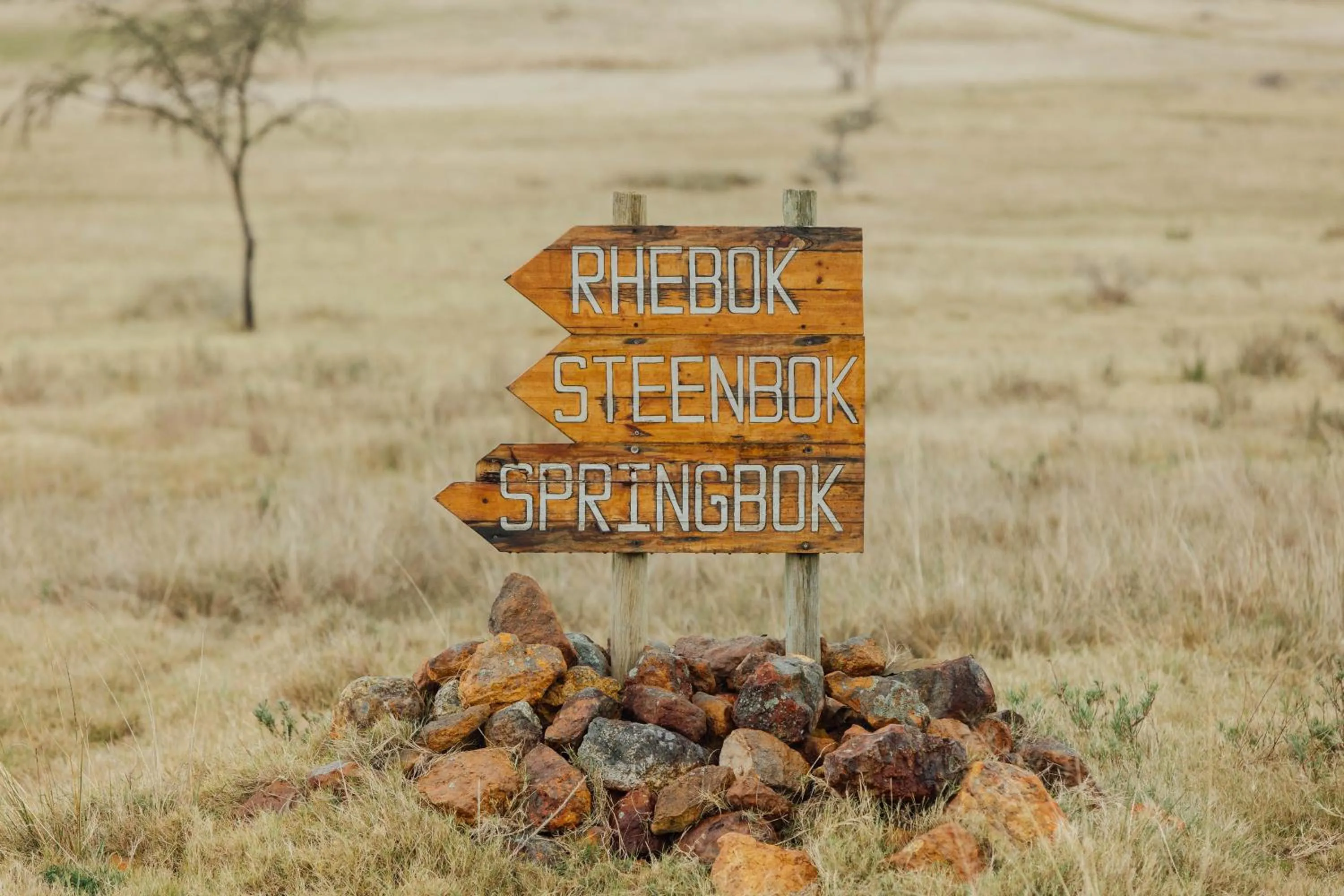 Property building in Kwetu Guest Farm