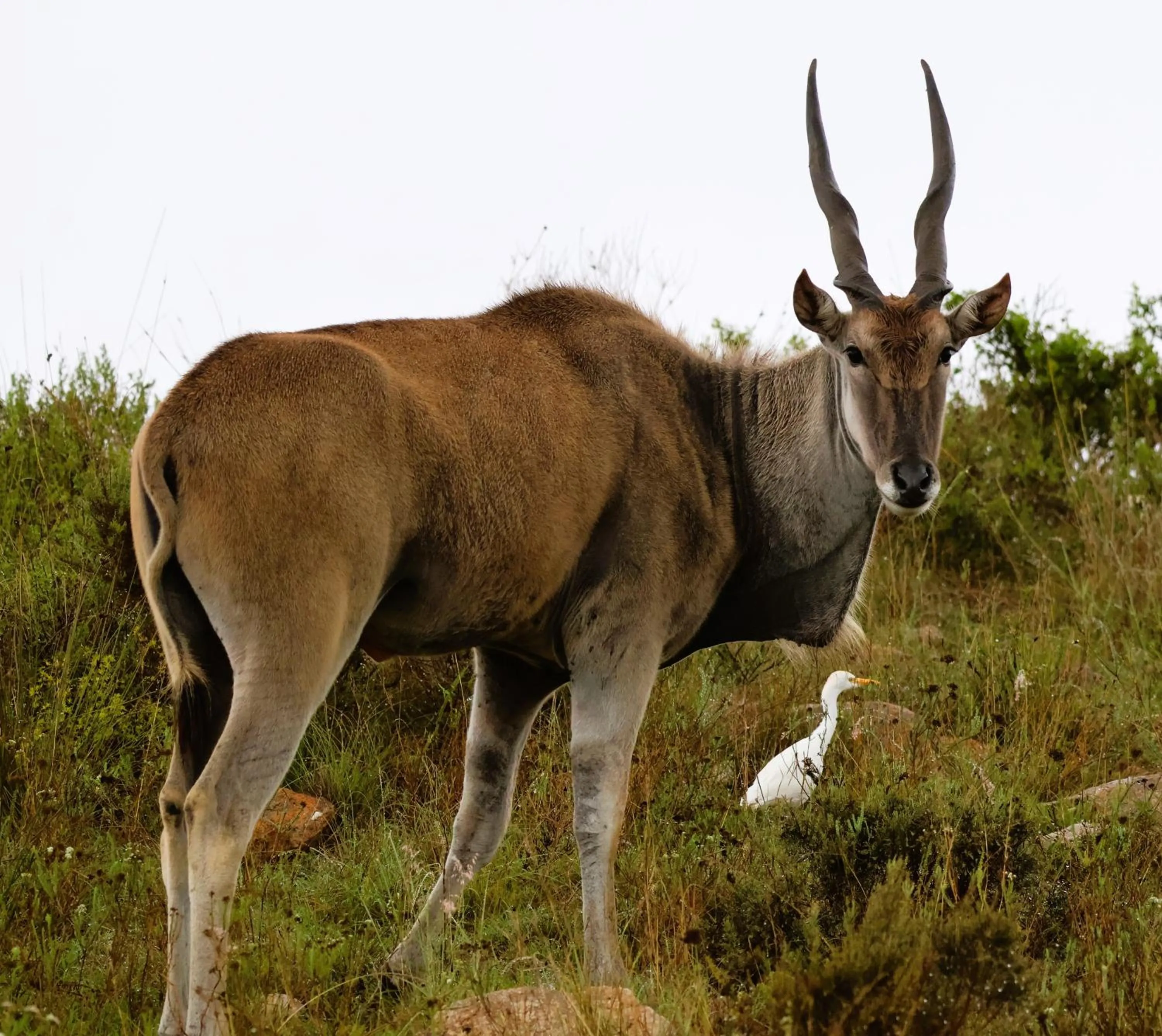 Day in Kwetu Guest Farm
