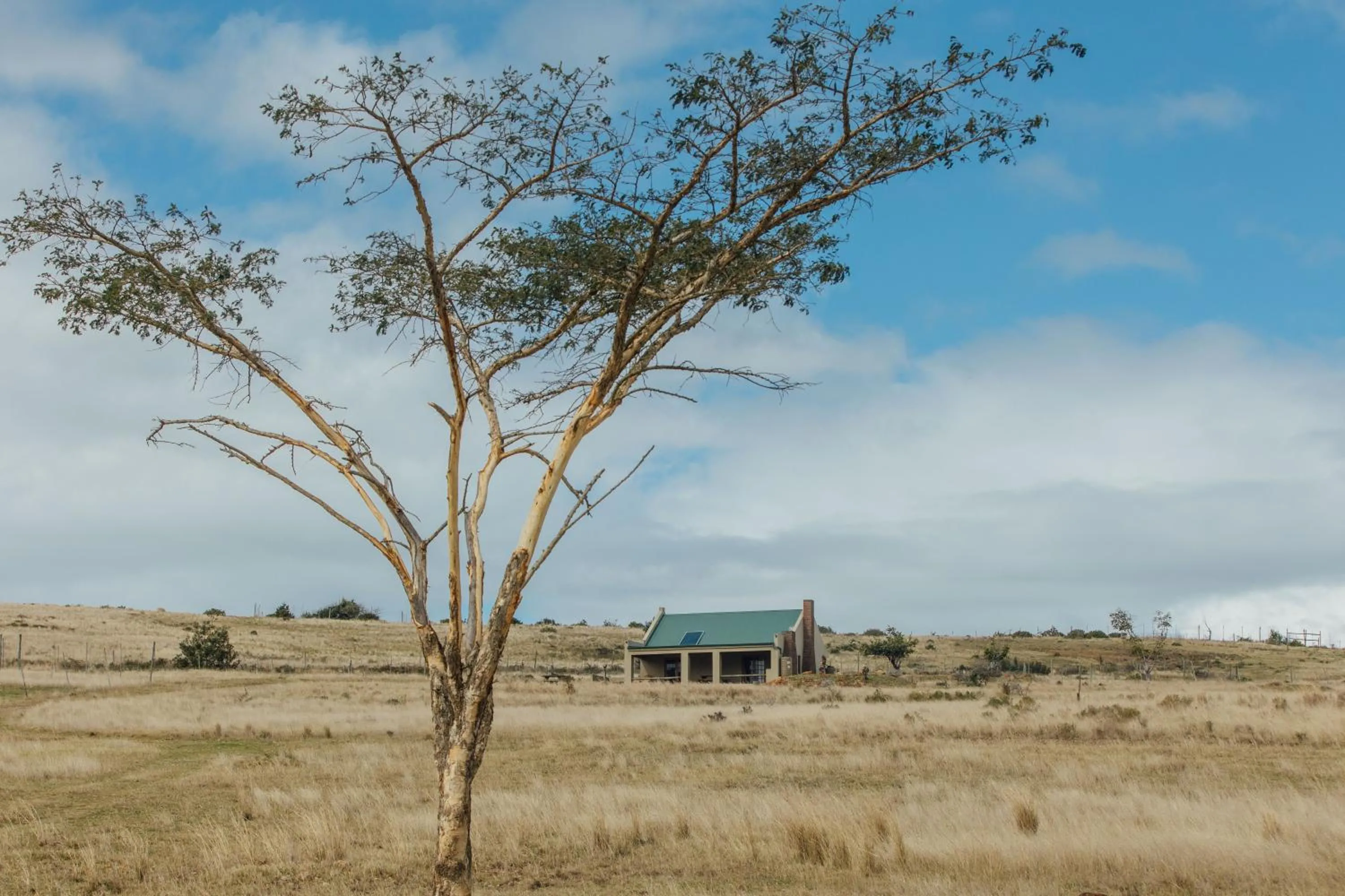 Property building in Kwetu Guest Farm