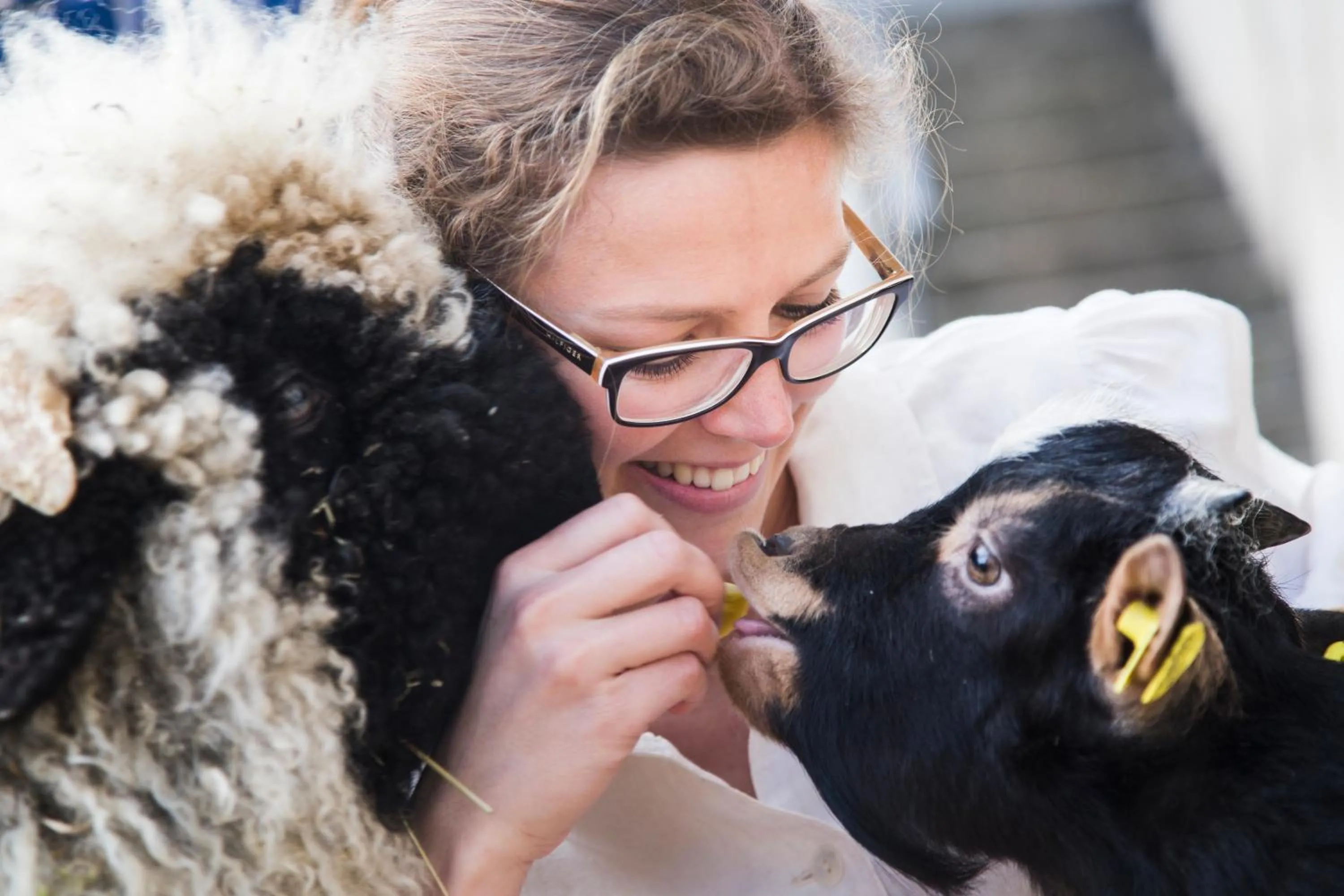 Animals in Unterer Obereggerhof