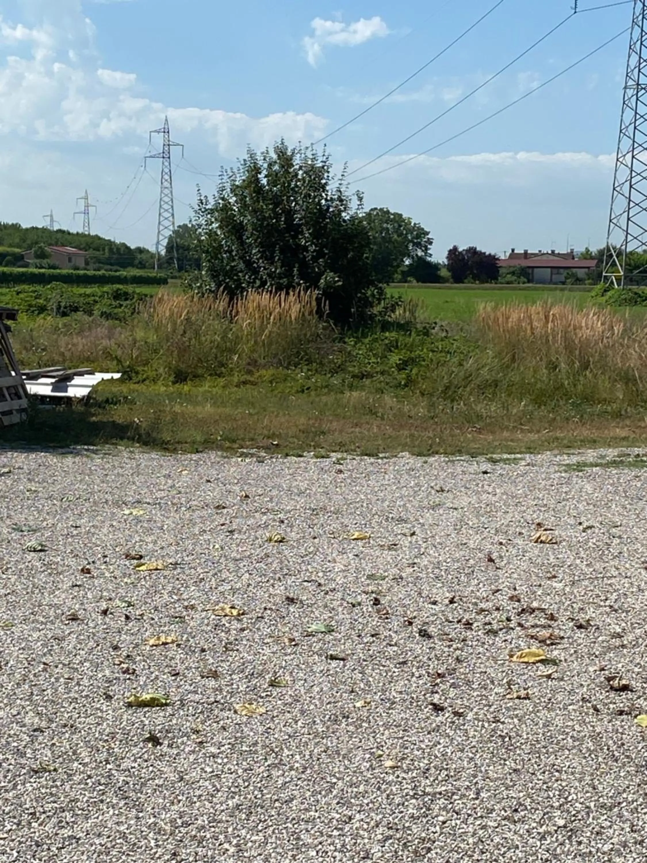 Natural landscape in Osteria Locanda Dalla Lina