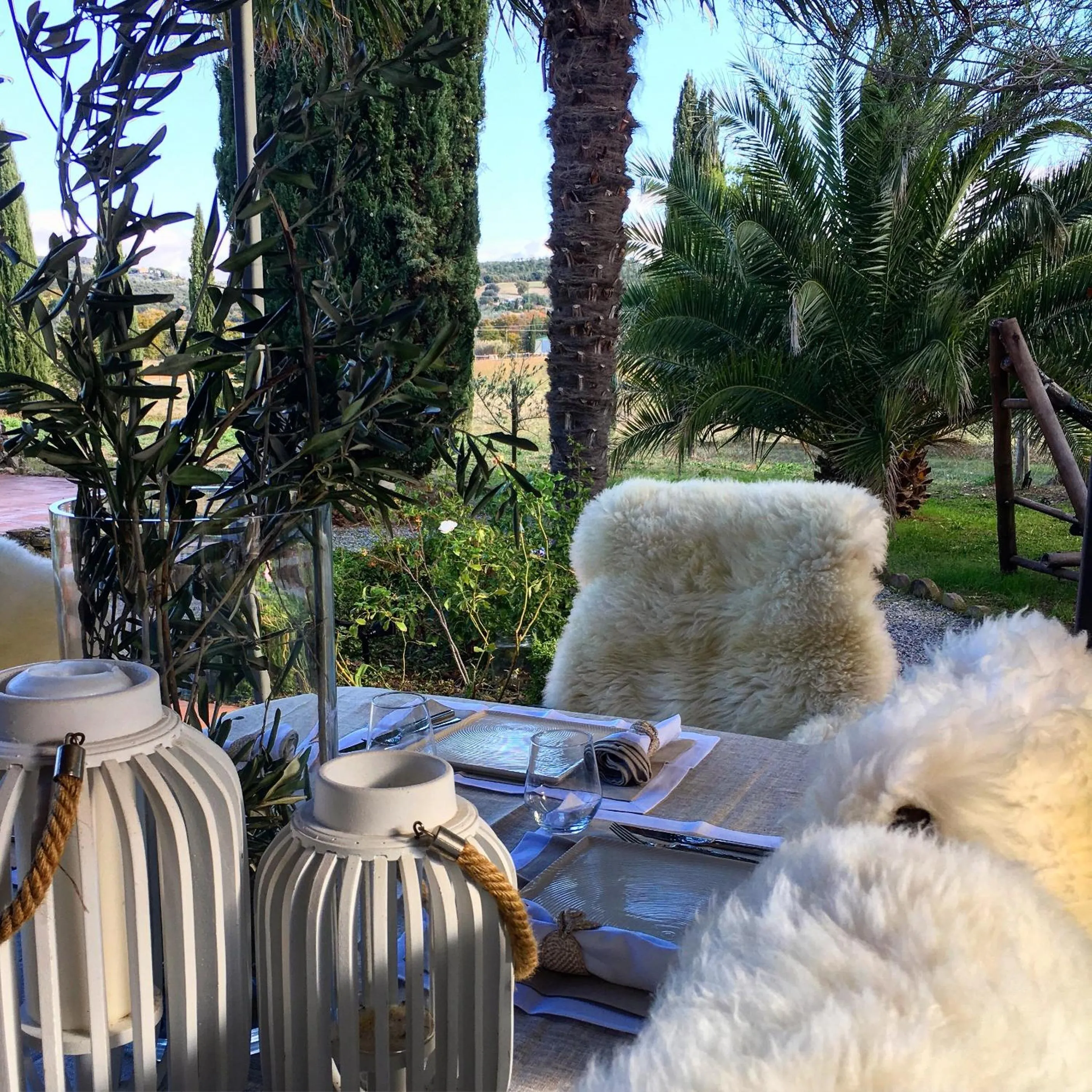 Restaurant/places to eat in Dojo Bianco