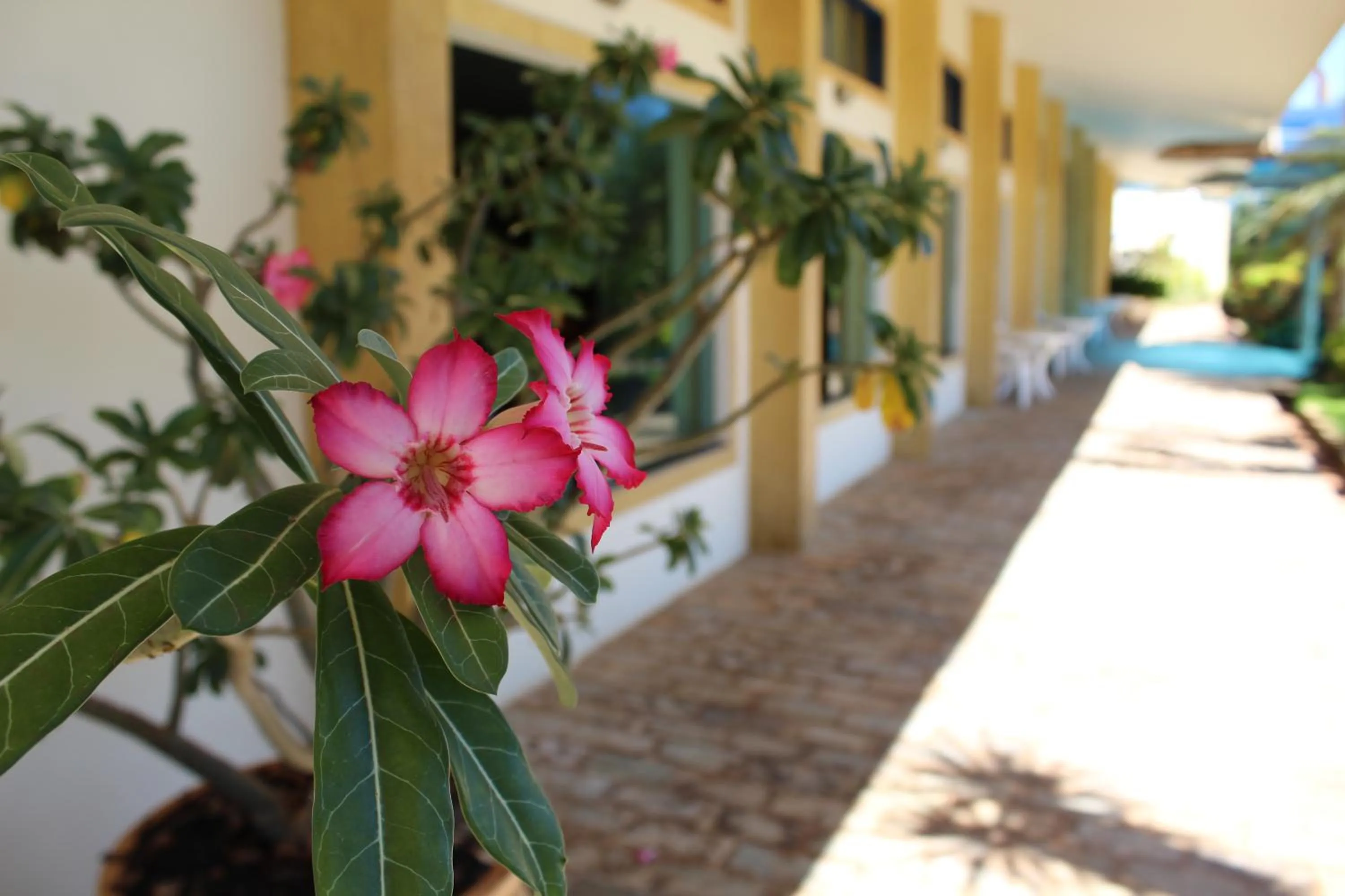 Grandes Lagos Park Hotel