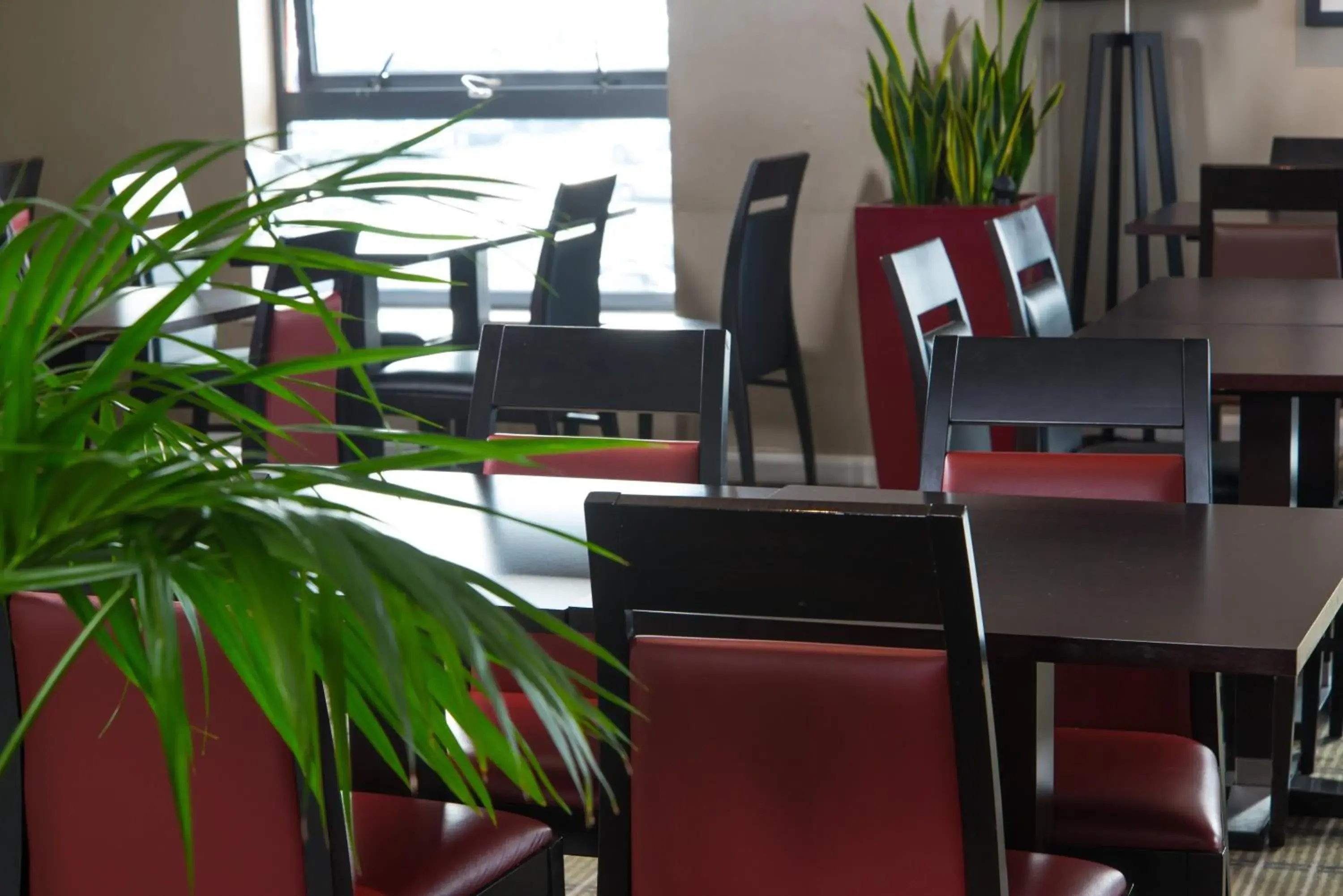 Breakfast in Holiday Inn Express London Luton Airport by IHG Breakfast in Holiday Inn Express London Luton Airport by IHG