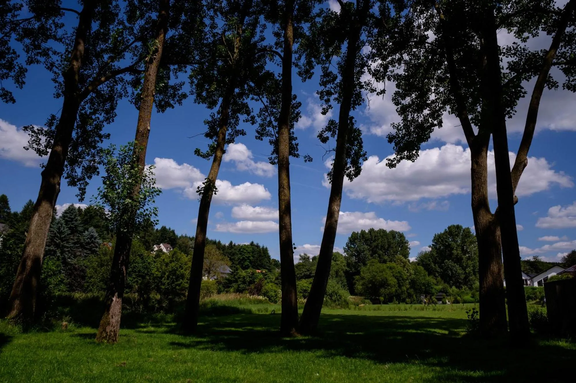 Natural landscape in Landhotel Eifellust