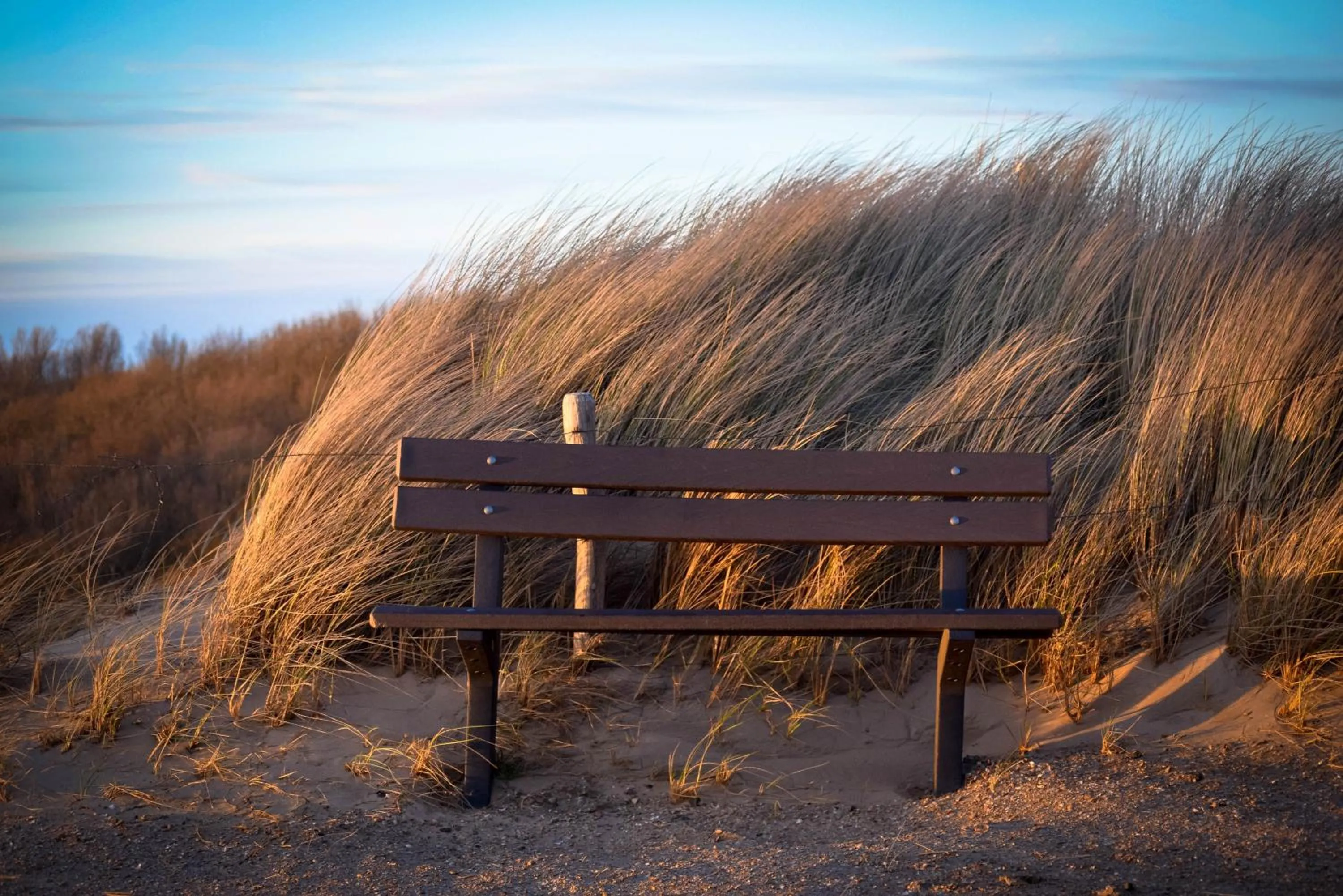 Natural landscape in Table d'Hôte Teune & Janna