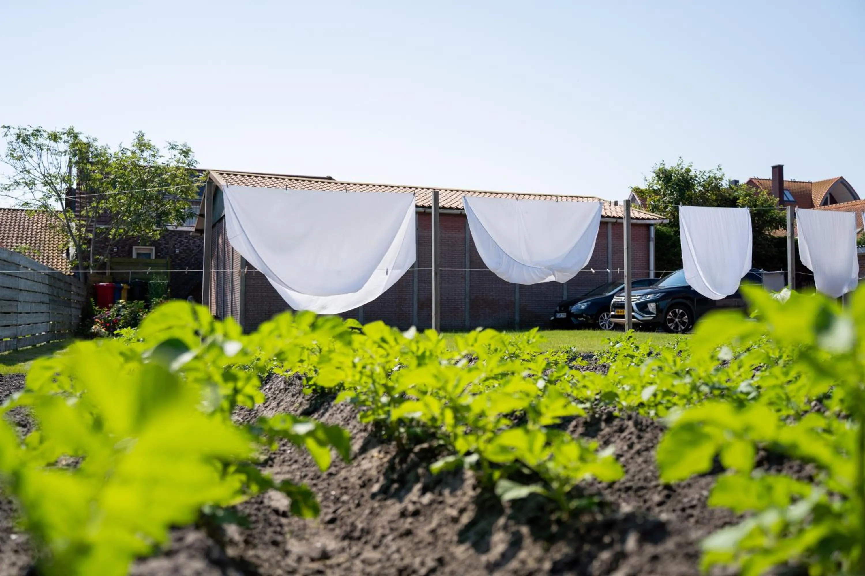 Table d'Hôte Teune & Janna