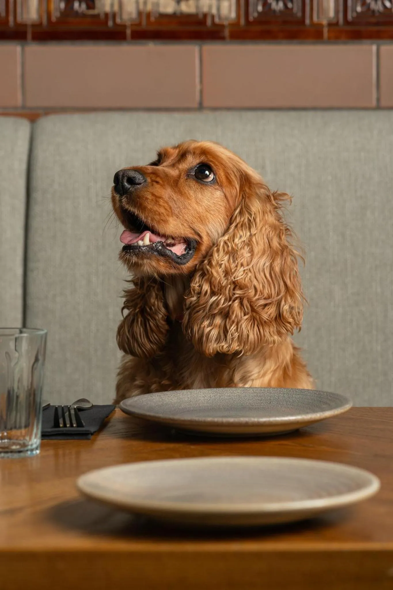 Restaurant/places to eat in Kimpton Clocktower by IHG