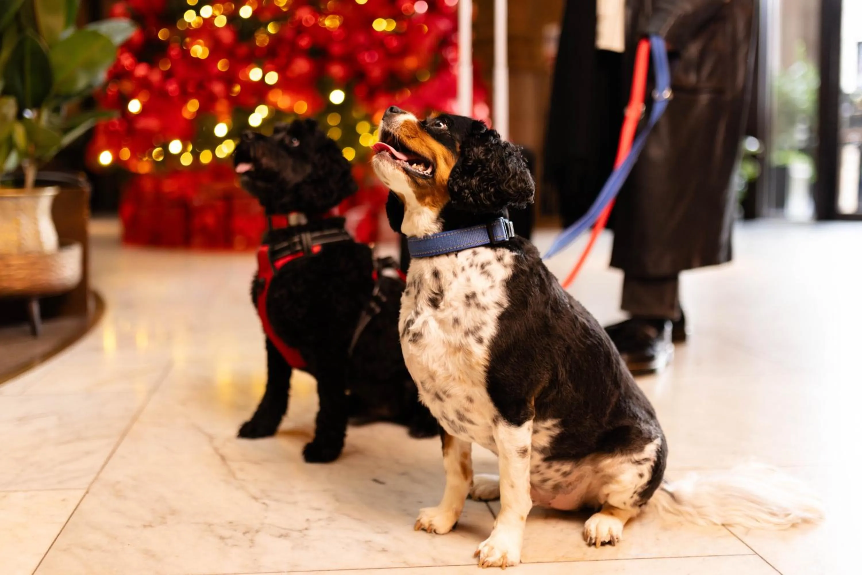 Winter in Kimpton Clocktower by IHG