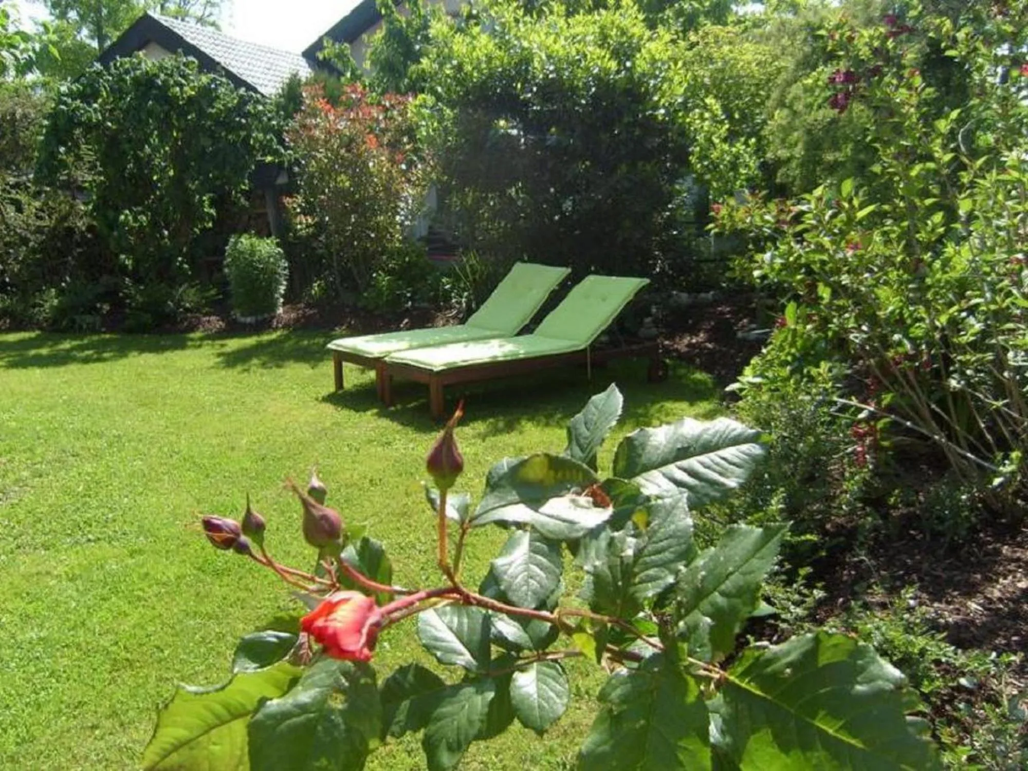 Garden in Wohlfühlhaus Immenstaad