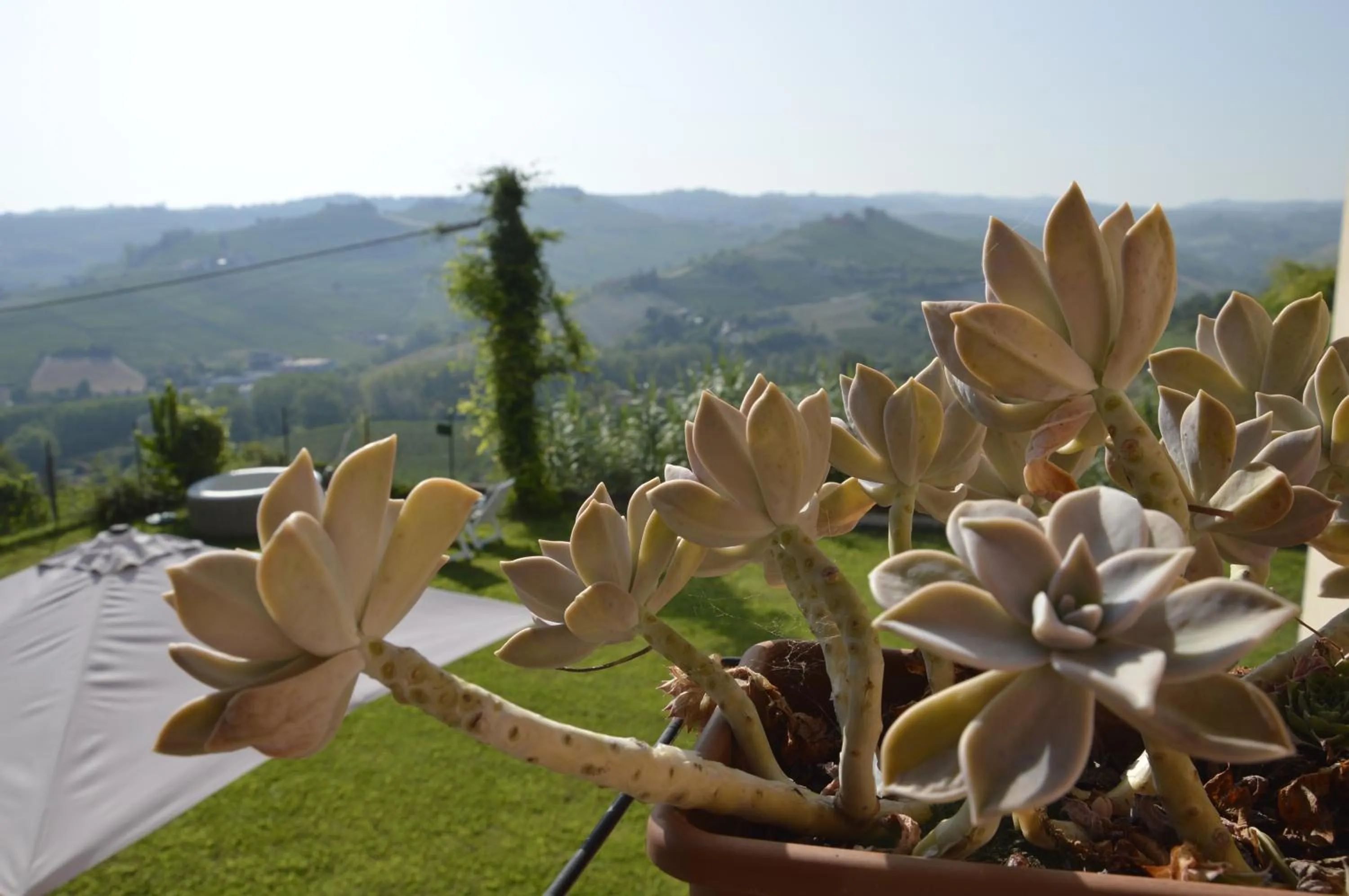 Garden in I Tigli di Altavilla