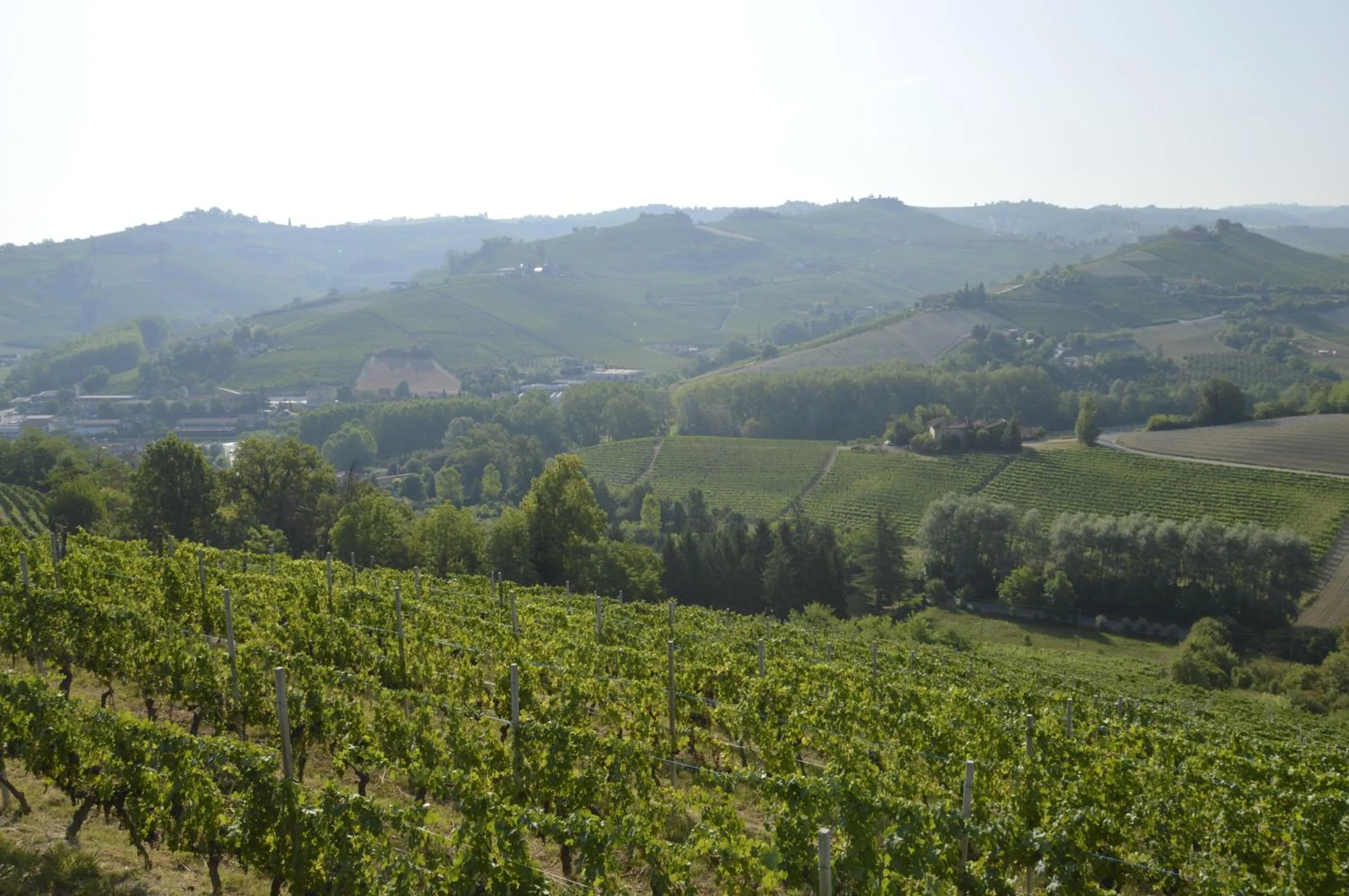 Landmark view in I Tigli di Altavilla