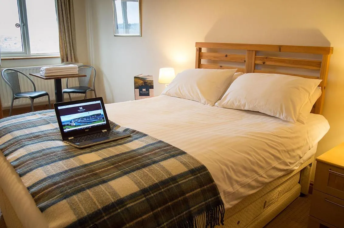Double Room with En-Suite Bathroom - single occupancy in The Mansion