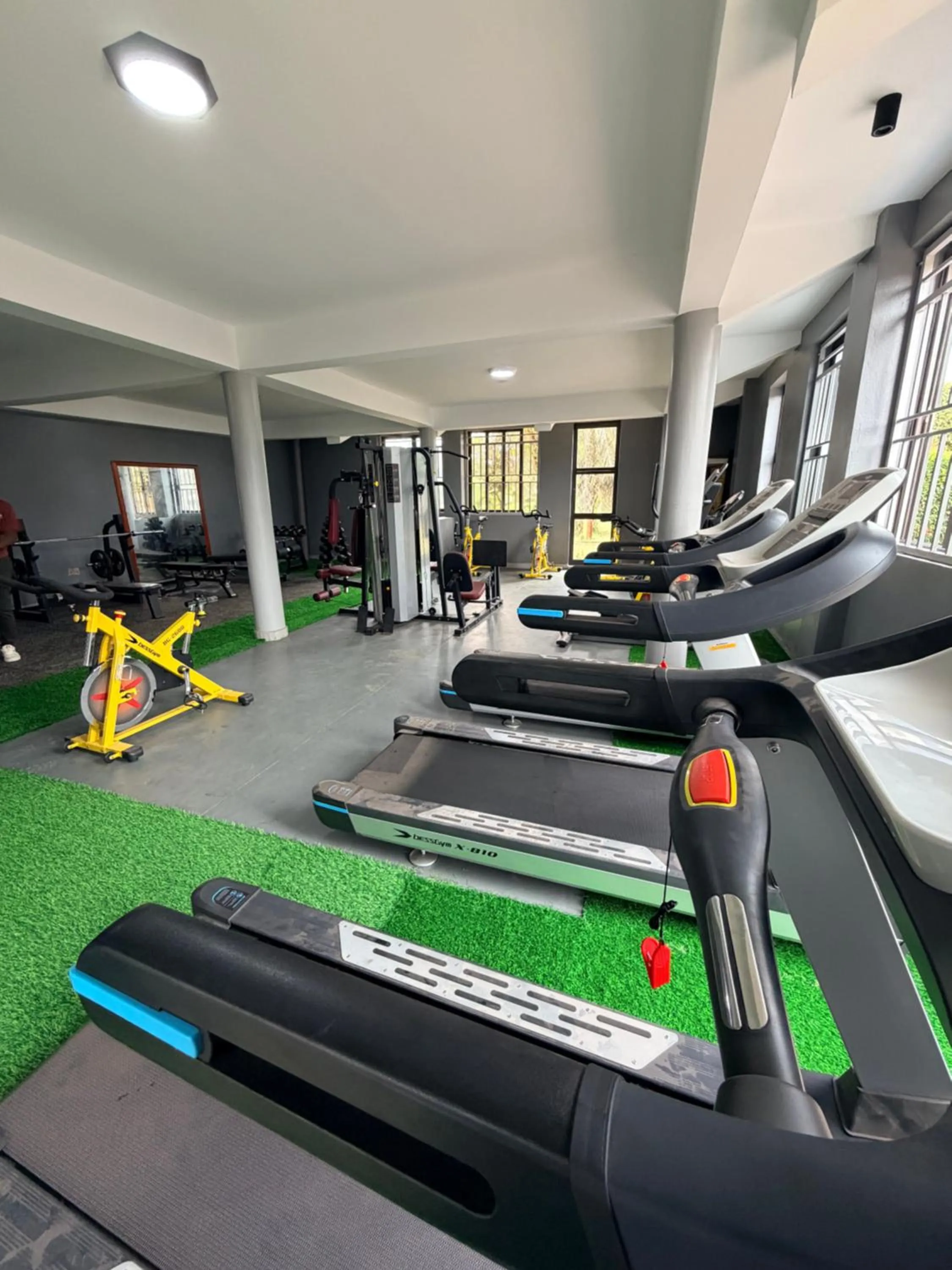 Fitness centre/facilities in Forest Park Resort