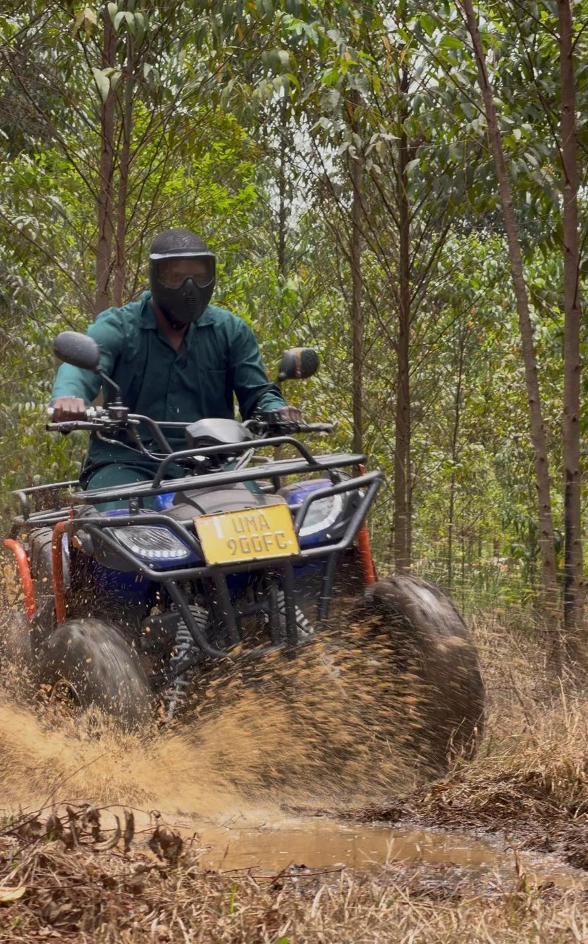 Sports in Forest Park Resort