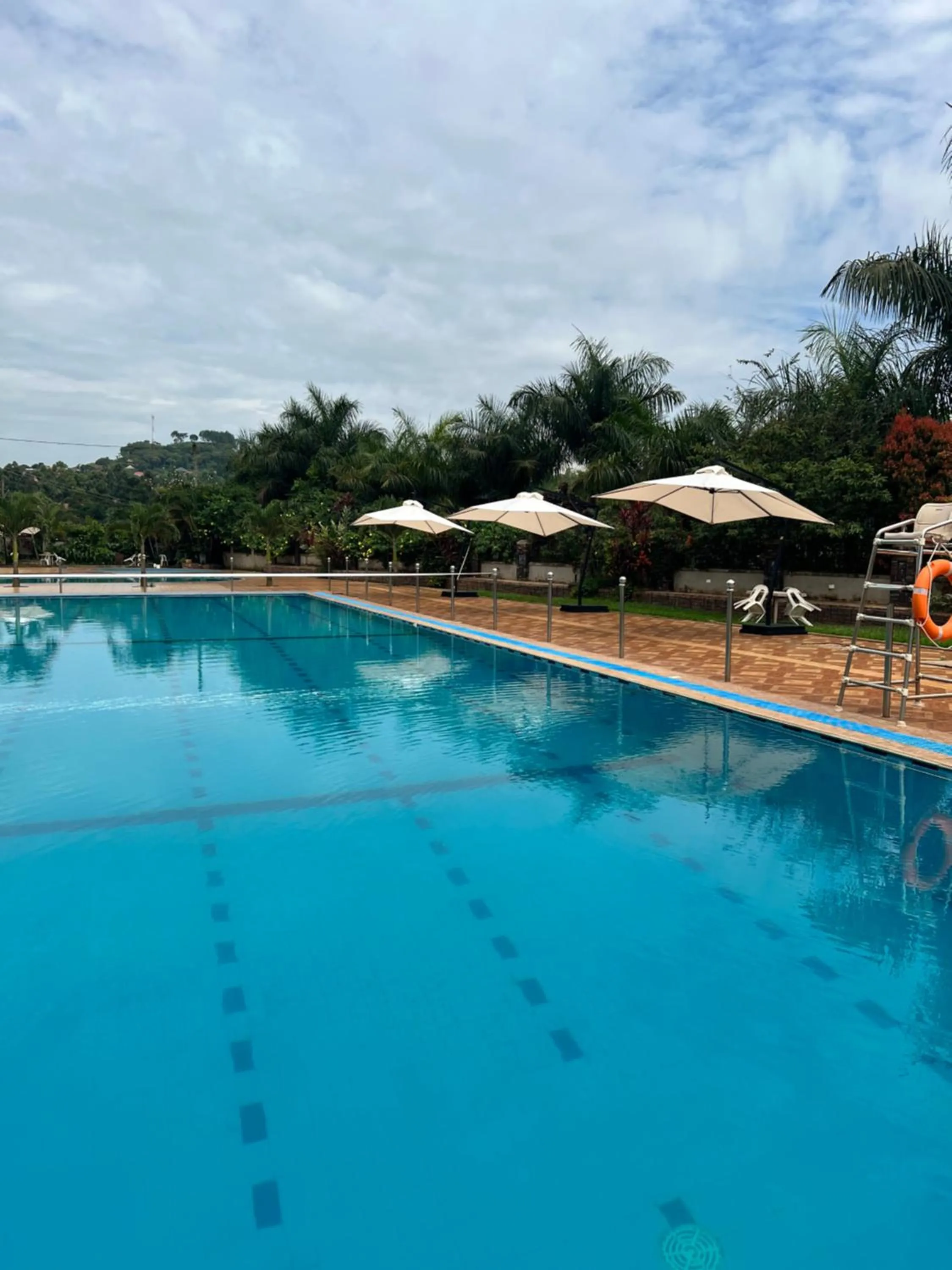 Swimming pool in Forest Park Resort
