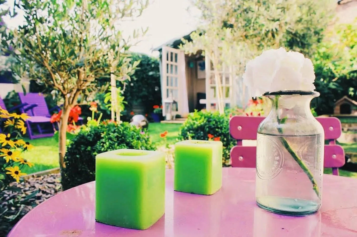 Garden in Glanmor Garden Apartment