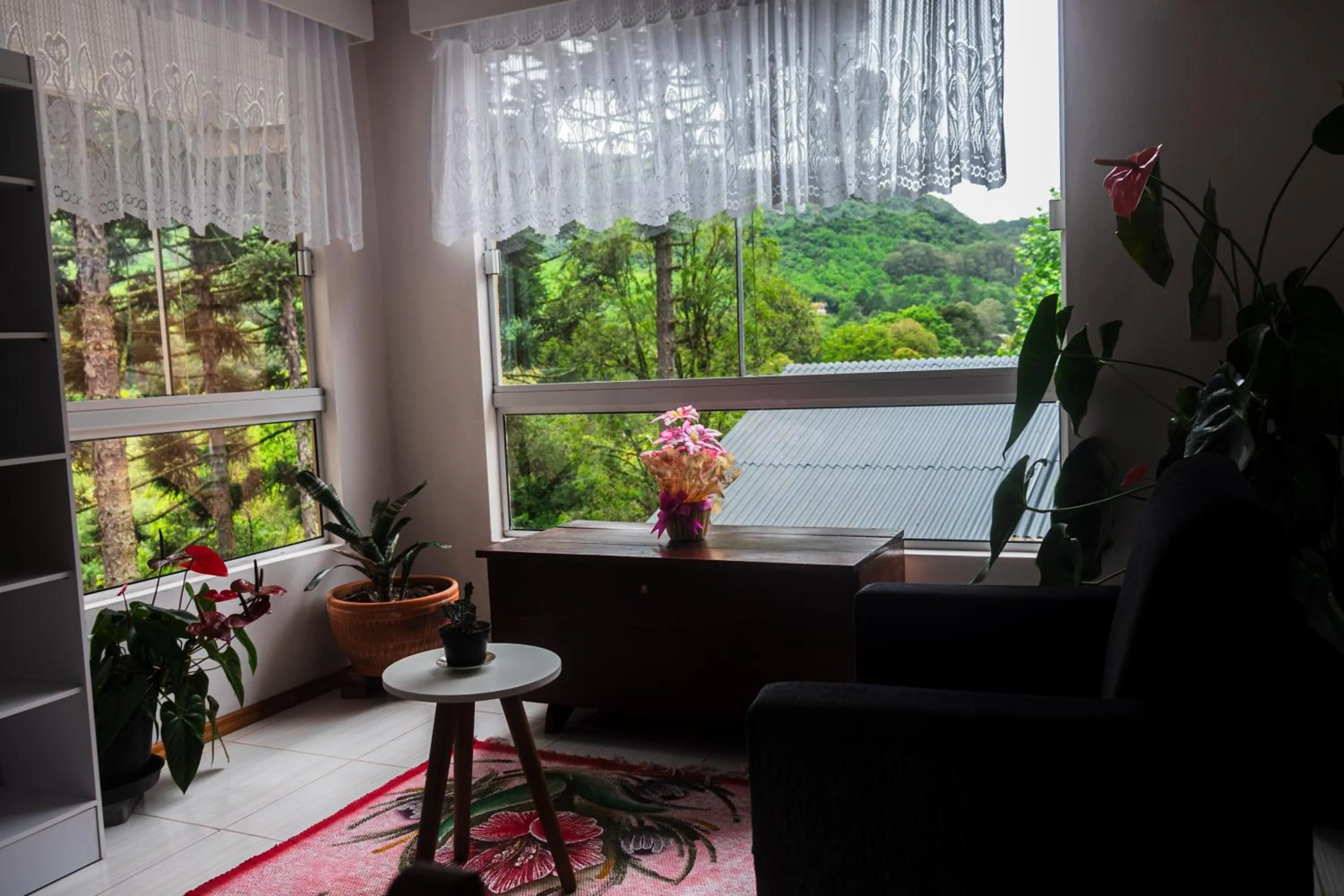 Library in Recanto Vó Eni