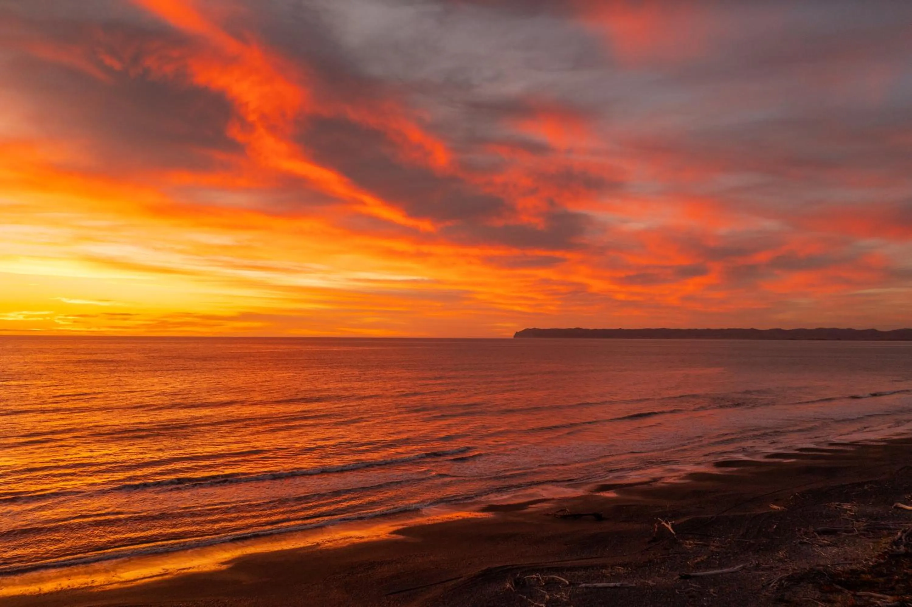 Natural landscape in Ocean View Beachfront Apartment