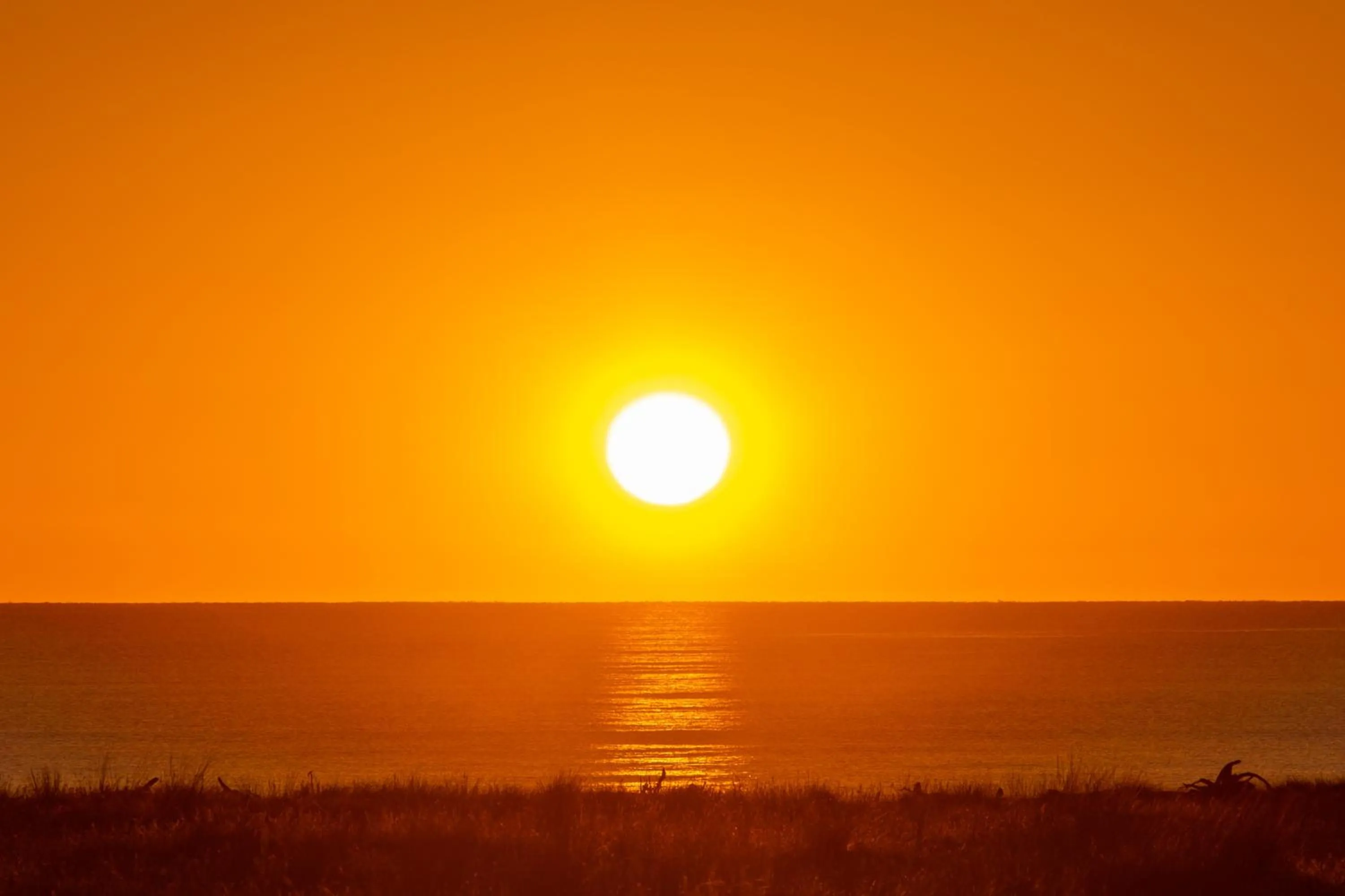 Natural landscape in Ocean View Beachfront Apartment
