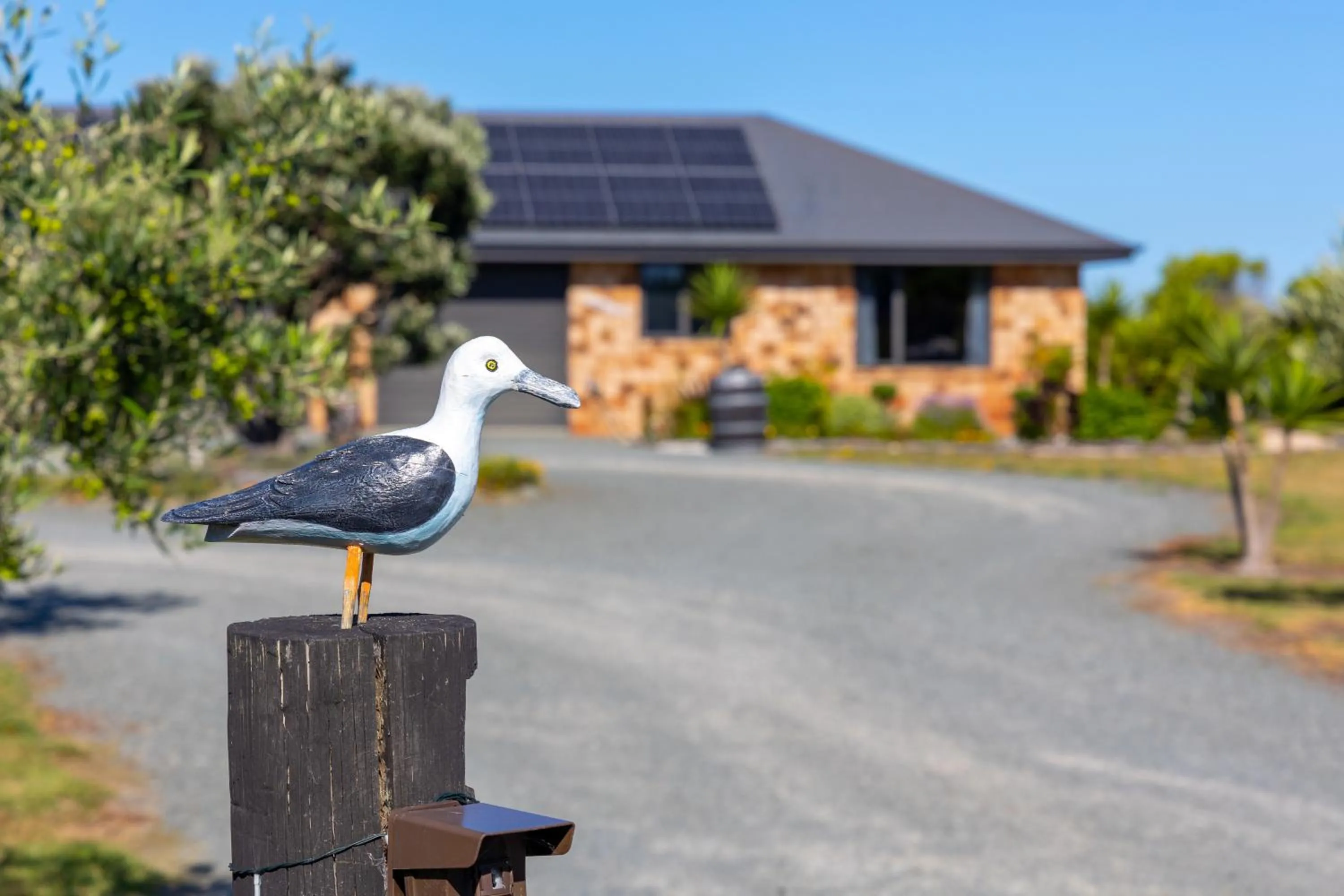 Day in Ocean View Beachfront Apartment